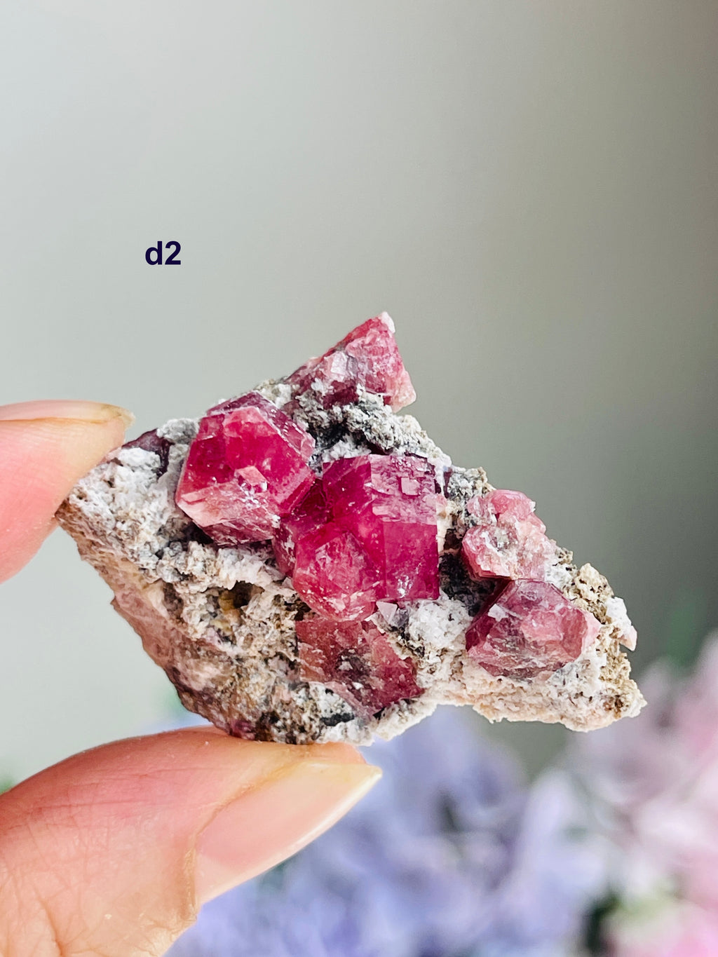 Raspberry Pink Grossular Garnet Specimen – Sierra de las Cruces, Coahuila, Mexico | Choose Your Piece