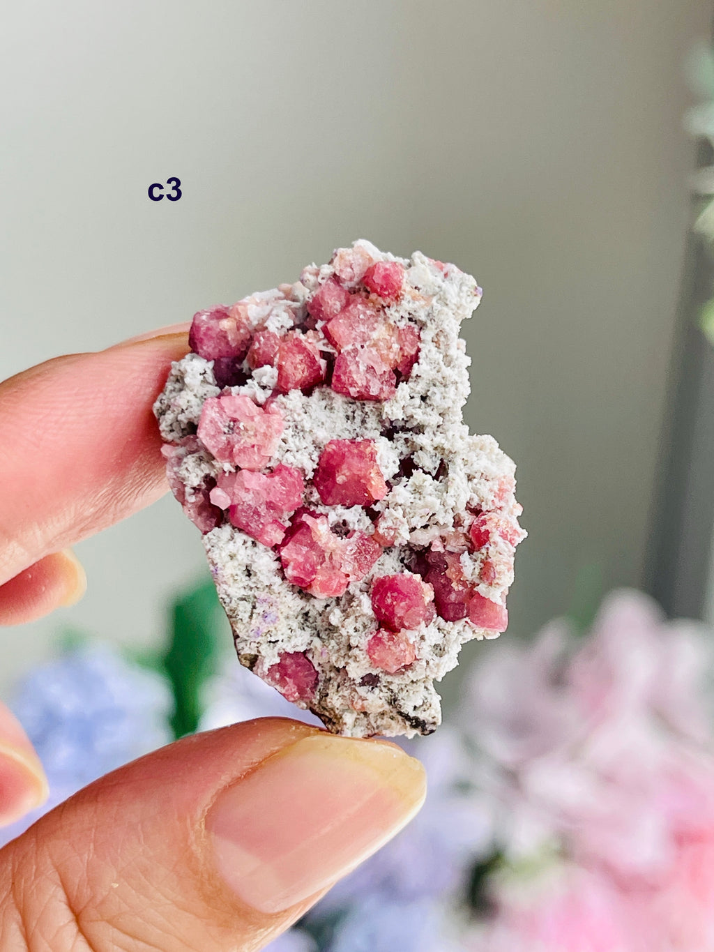 Raspberry Pink Grossular Garnet Specimen – Sierra de las Cruces, Coahuila, Mexico | Choose Your Piece