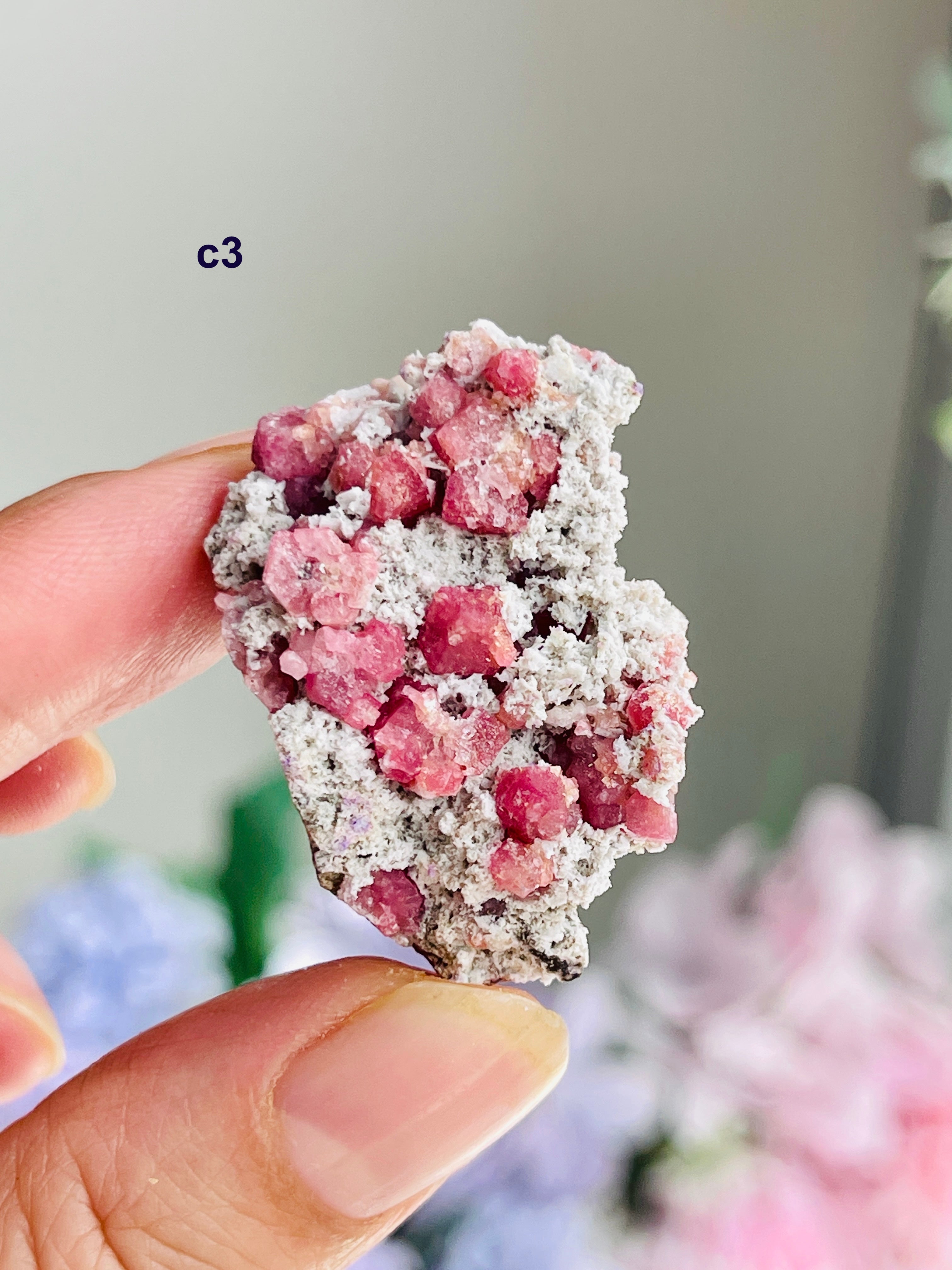 Raspberry Pink Grossular Garnet Specimen – Sierra de las Cruces, Coahuila, Mexico | Choose Your Piece