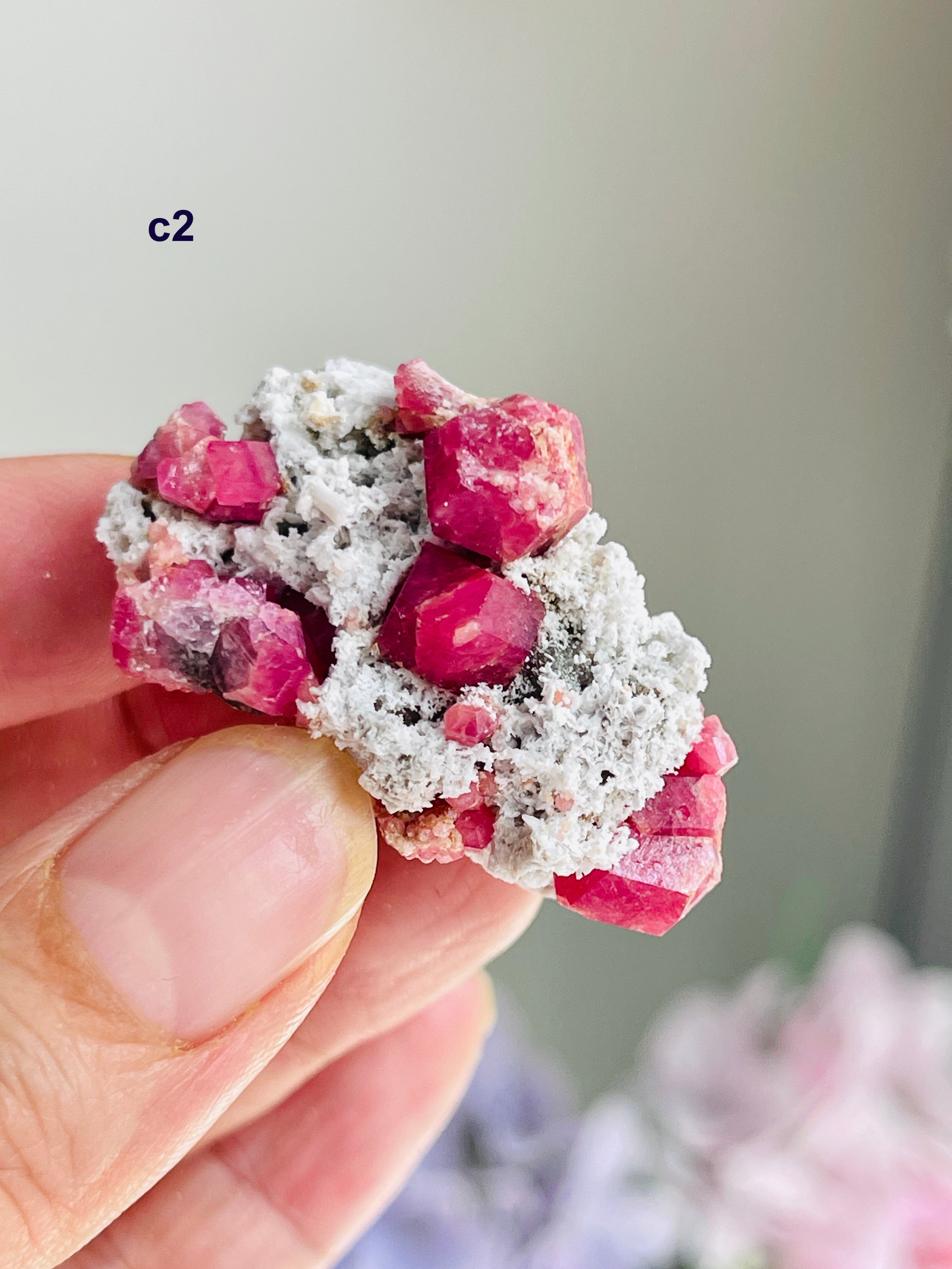 Raspberry Pink Grossular Garnet Specimen – Sierra de las Cruces, Coahuila, Mexico | Choose Your Piece