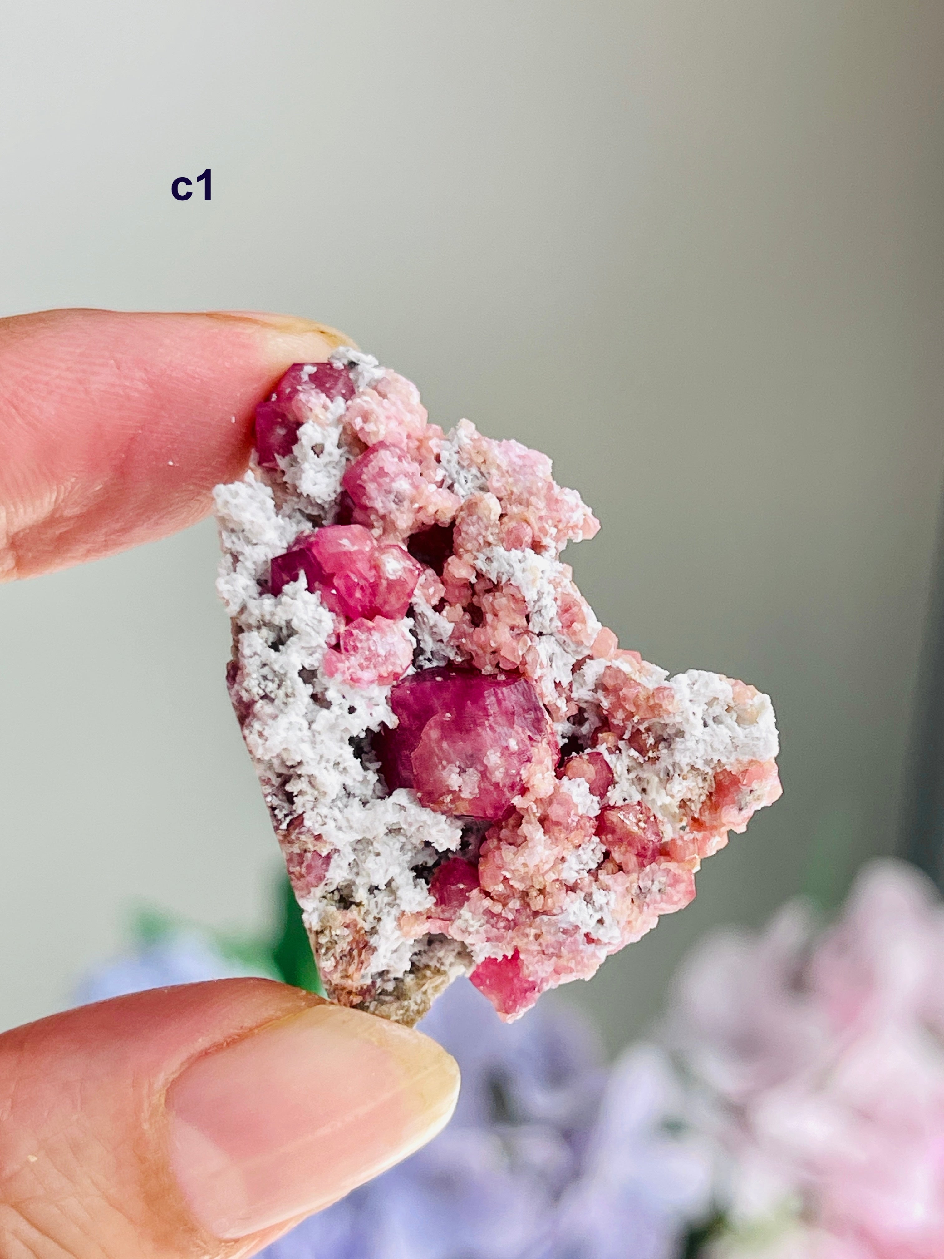 Raspberry Pink Grossular Garnet Specimen – Sierra de las Cruces, Coahuila, Mexico | Choose Your Piece