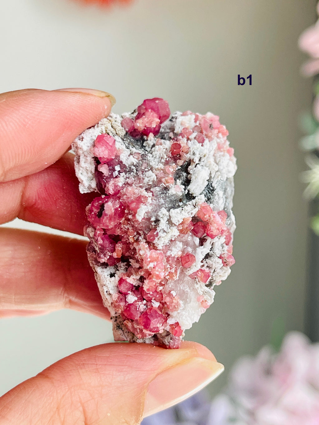 Raspberry Pink Grossular Garnet Specimen – Sierra de las Cruces, Coahuila, Mexico | Choose Your Piece