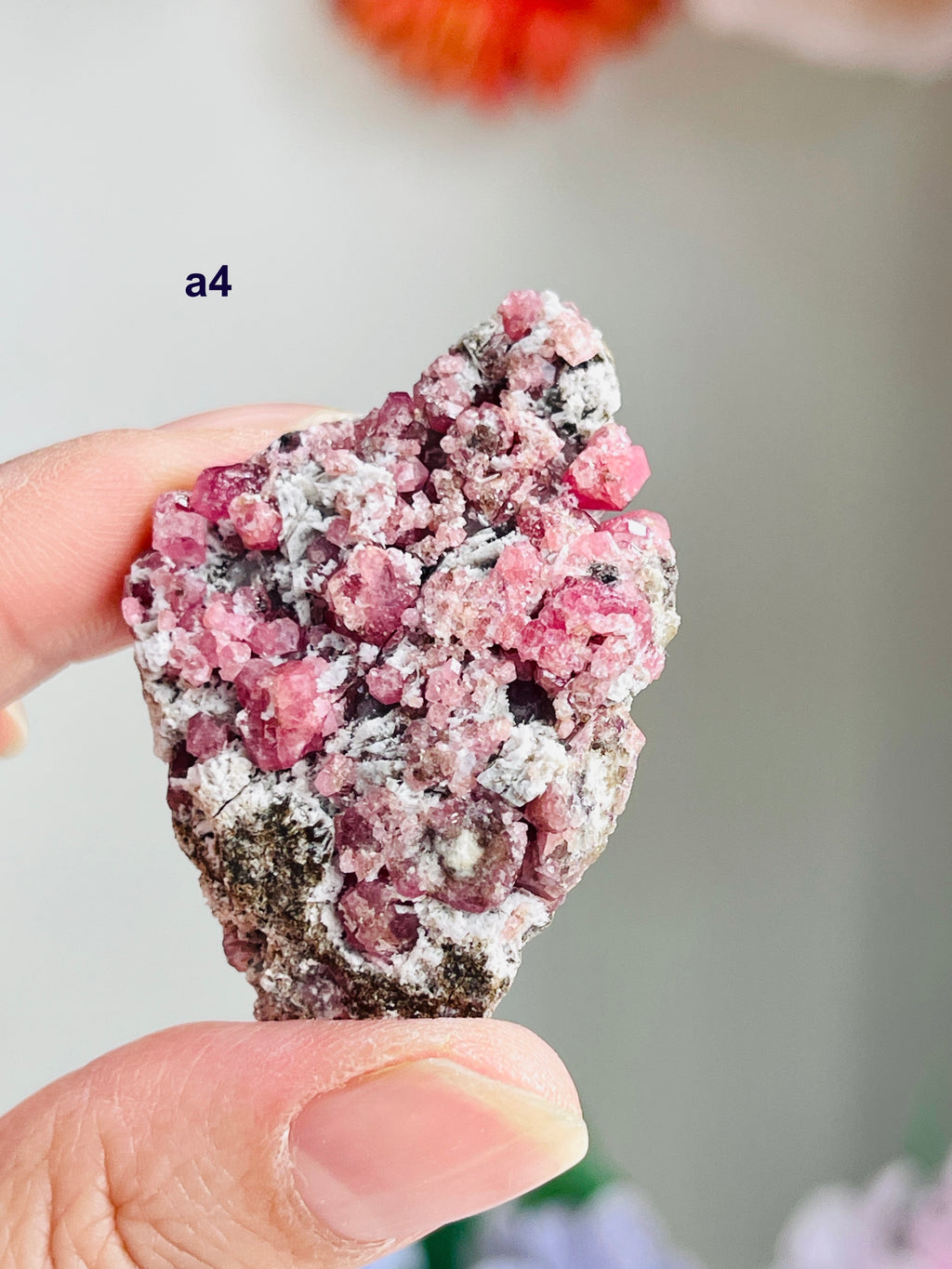 Raspberry Pink Grossular Garnet Specimen – Sierra de las Cruces, Coahuila, Mexico | Choose Your Piece
