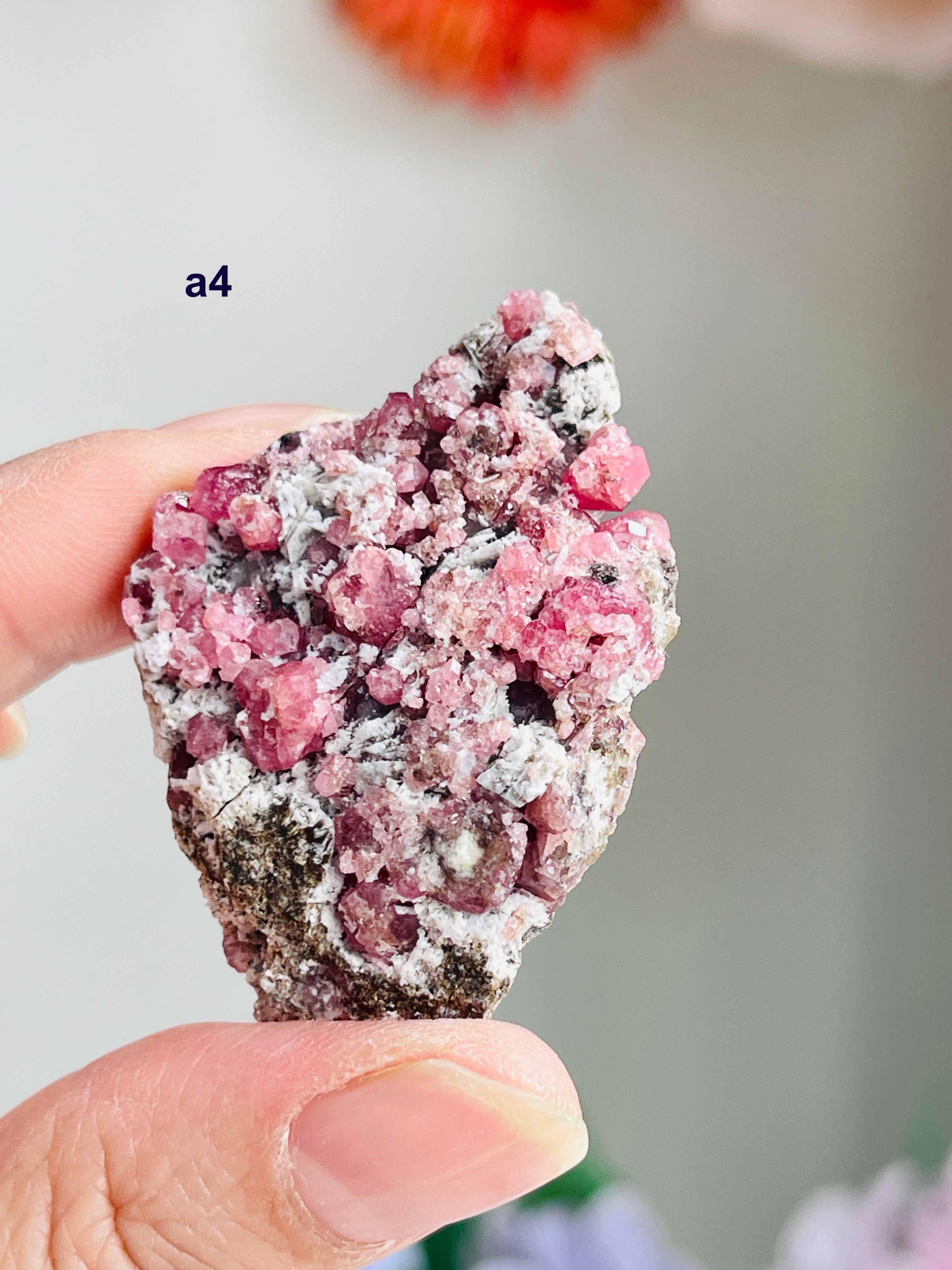 Raspberry Pink Grossular Garnet Specimen – Sierra de las Cruces, Coahuila, Mexico | Choose Your Piece