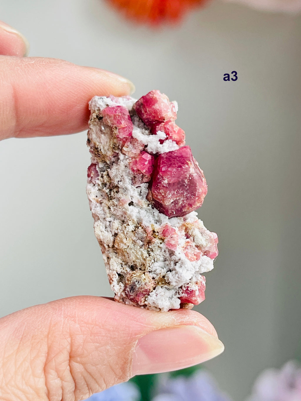 Raspberry Pink Grossular Garnet Specimen – Sierra de las Cruces, Coahuila, Mexico | Choose Your Piece