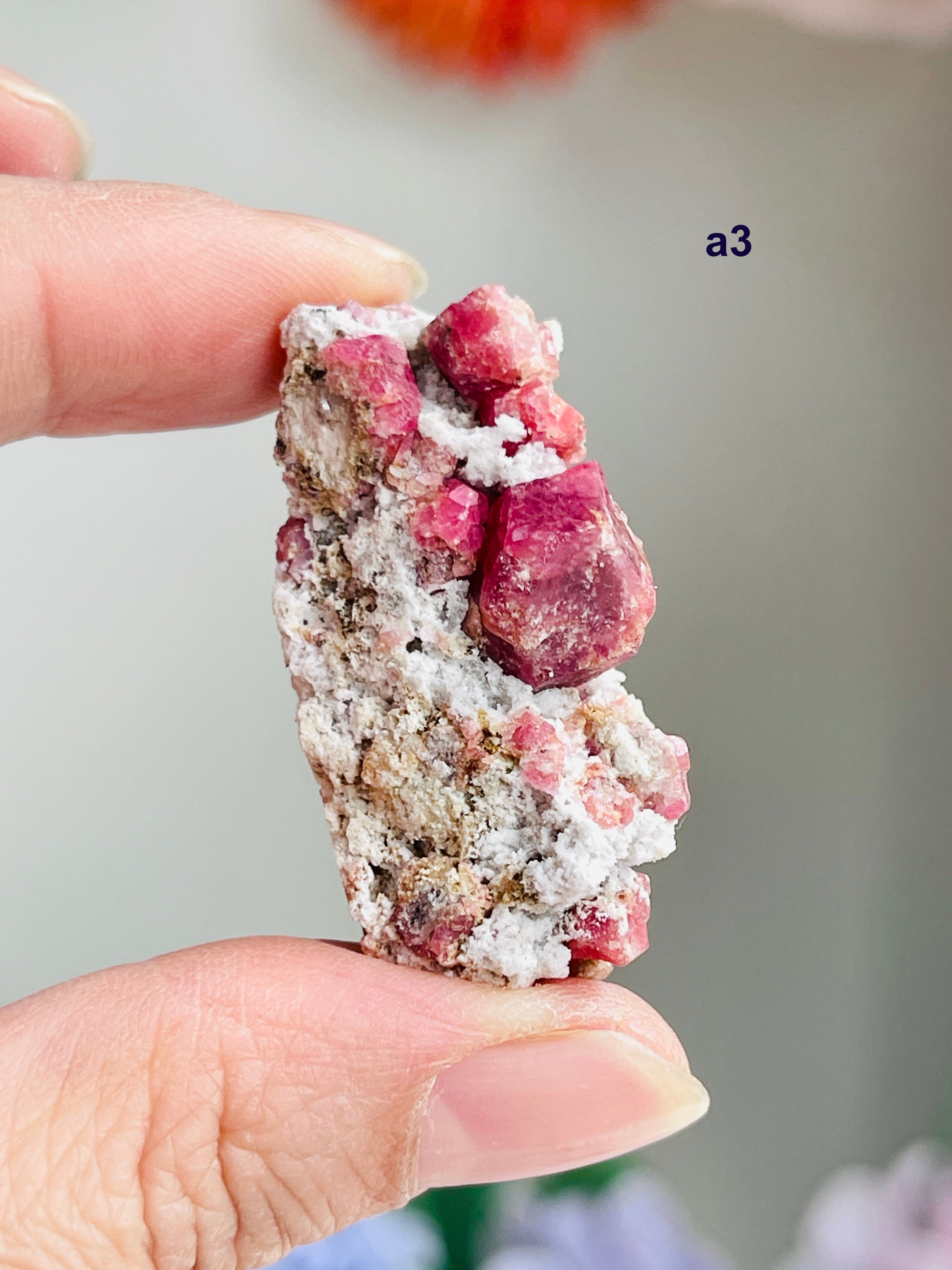 Raspberry Pink Grossular Garnet Specimen – Sierra de las Cruces, Coahuila, Mexico | Choose Your Piece