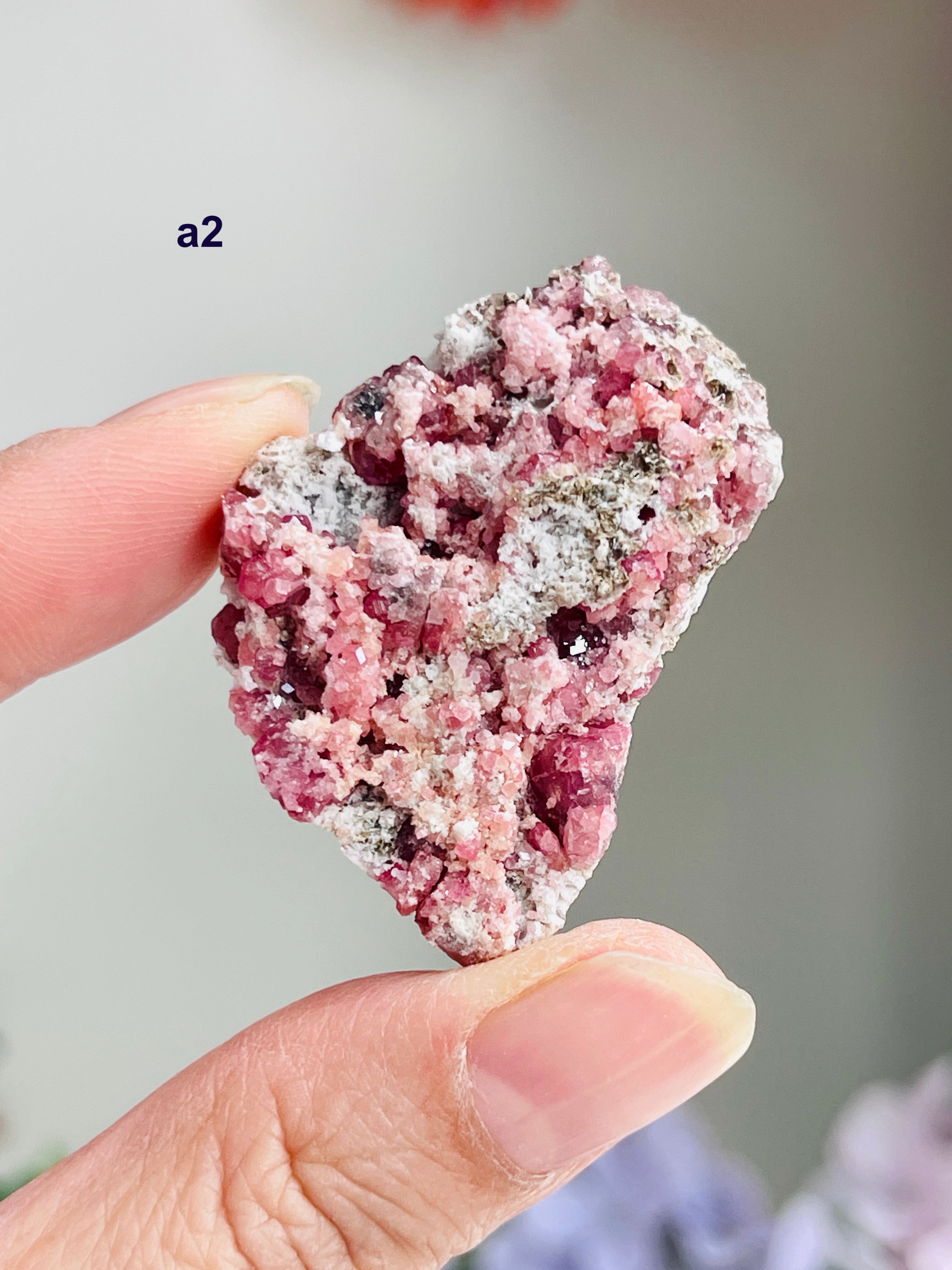 Raspberry Pink Grossular Garnet Specimen – Sierra de las Cruces, Coahuila, Mexico | Choose Your Piece
