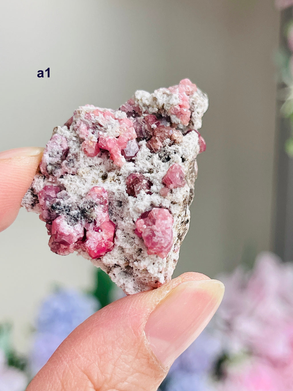 Raspberry Pink Grossular Garnet Specimen – Sierra de las Cruces, Coahuila, Mexico | Choose Your Piece