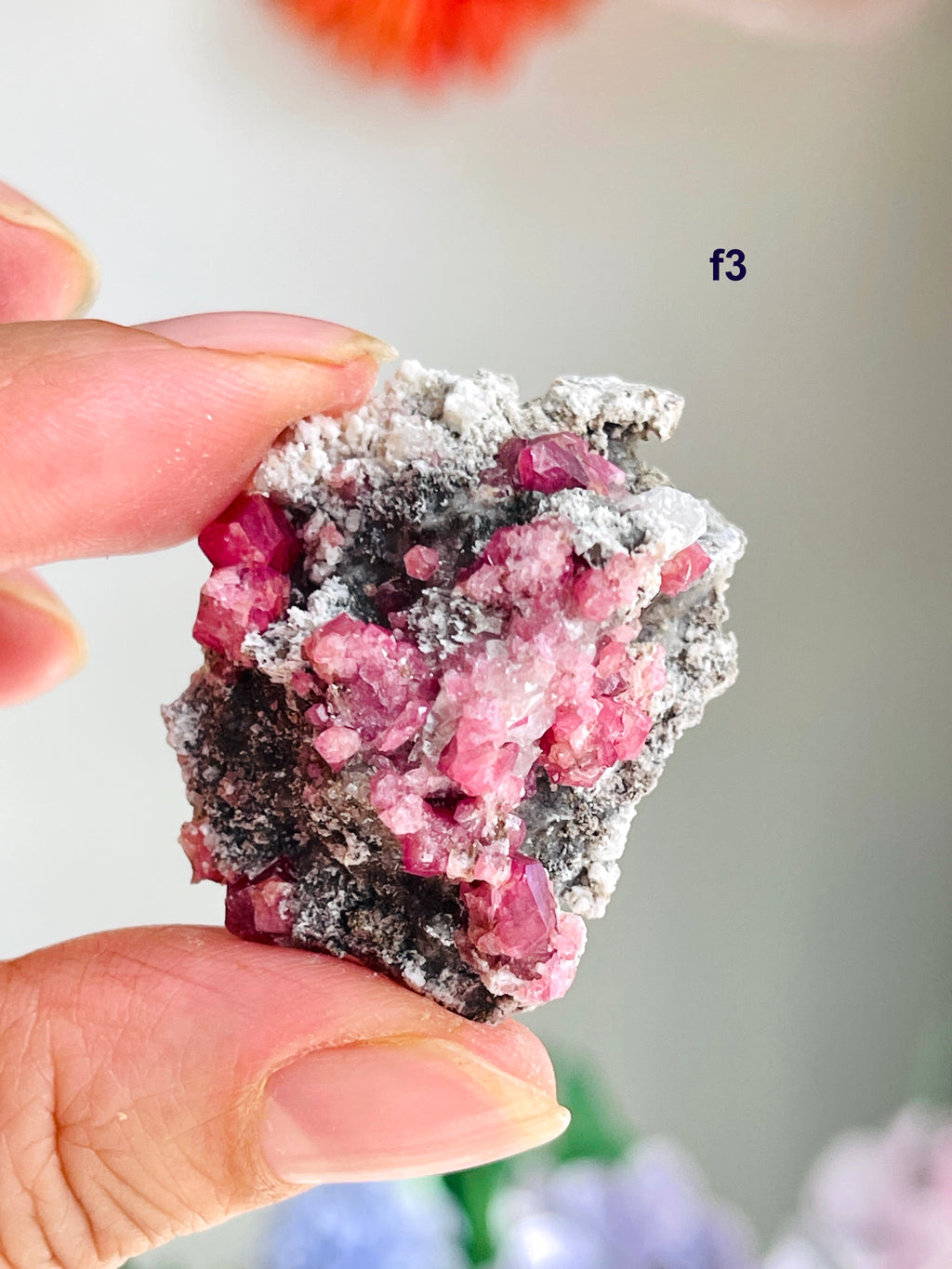 Raspberry Pink Grossular Garnet Specimen – Sierra de las Cruces, Coahuila, Mexico | Choose Your Piece