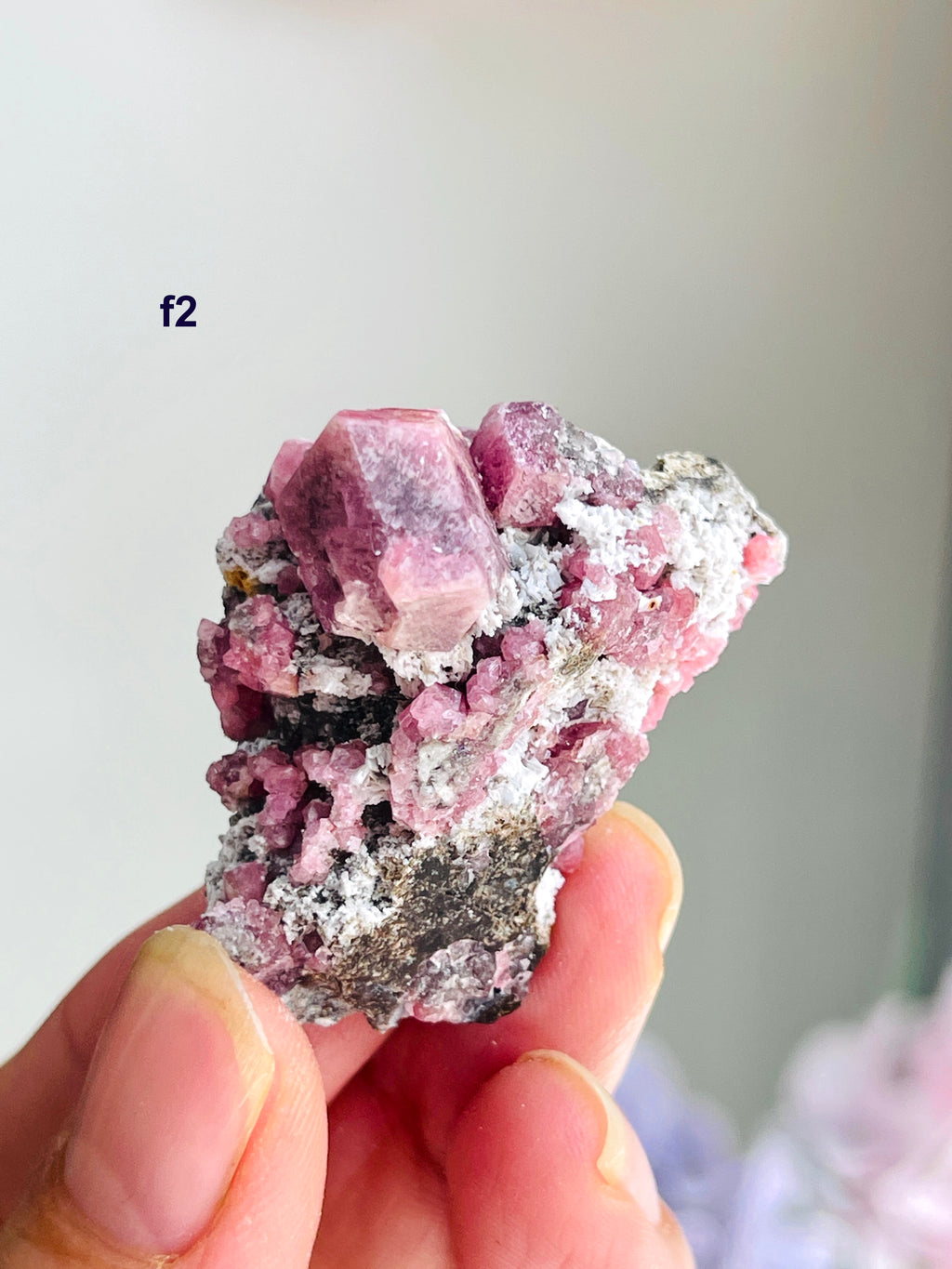 Raspberry Pink Grossular Garnet Specimen – Sierra de las Cruces, Coahuila, Mexico | Choose Your Piece
