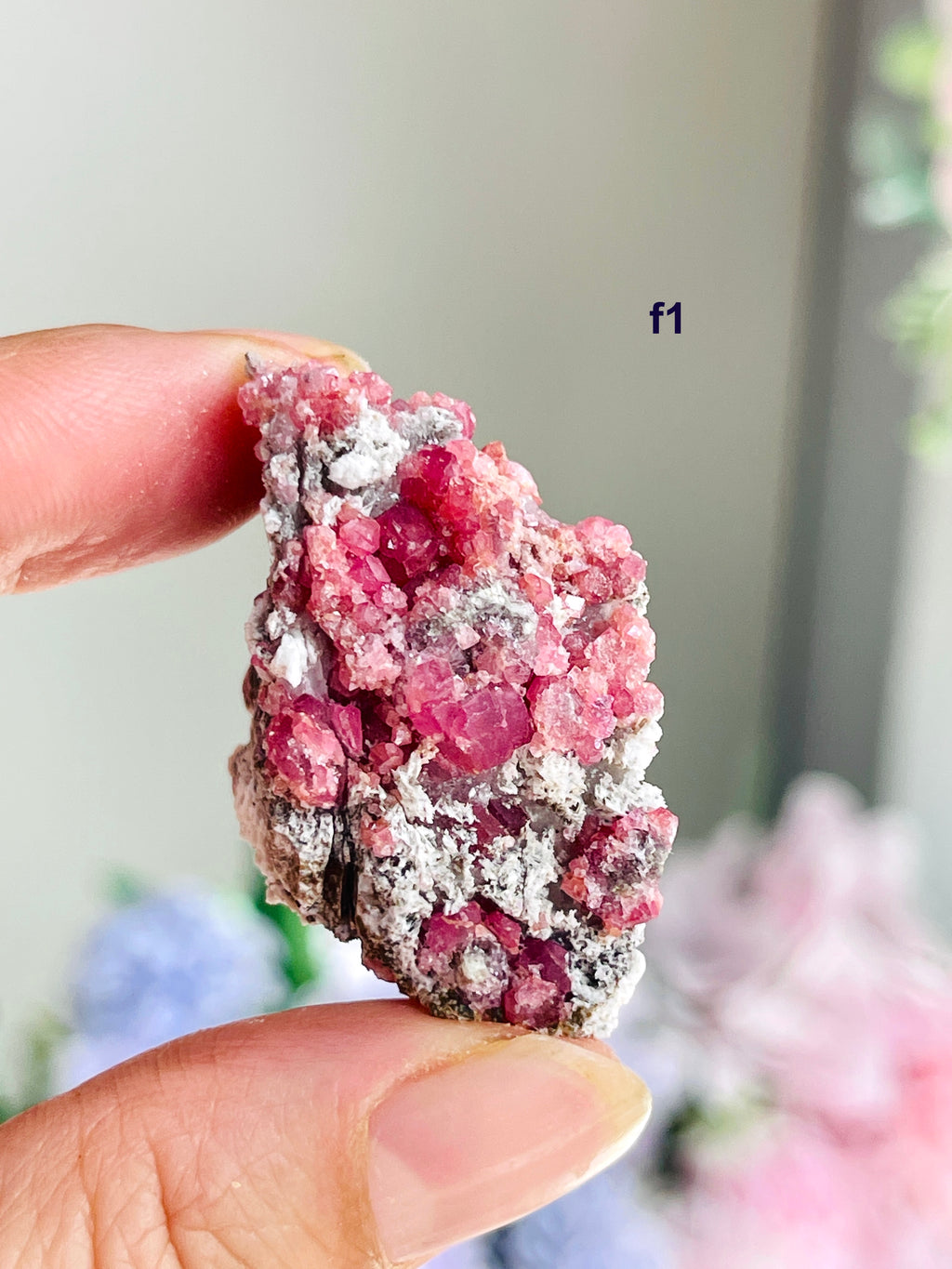 Raspberry Pink Grossular Garnet Specimen – Sierra de las Cruces, Coahuila, Mexico | Choose Your Piece