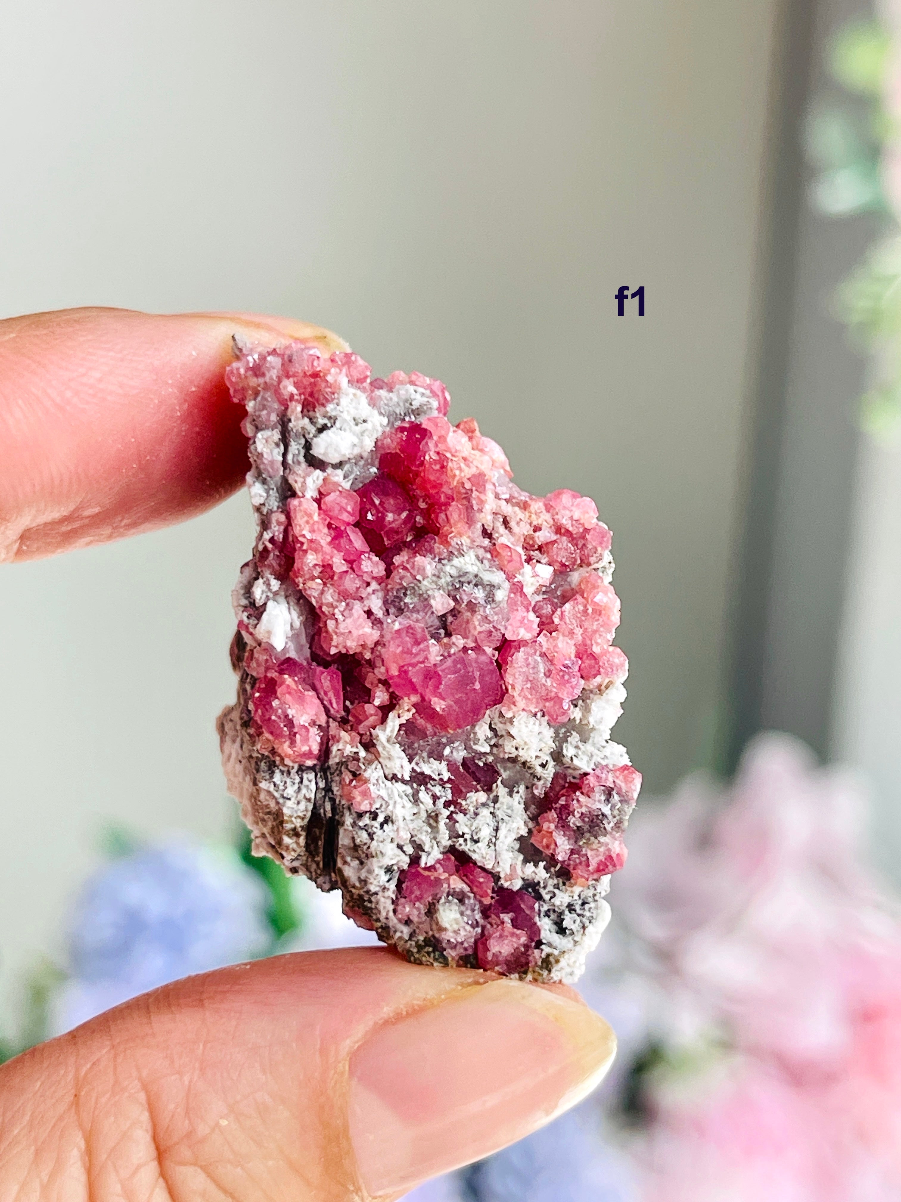 Raspberry Pink Grossular Garnet Specimen – Sierra de las Cruces, Coahuila, Mexico | Choose Your Piece