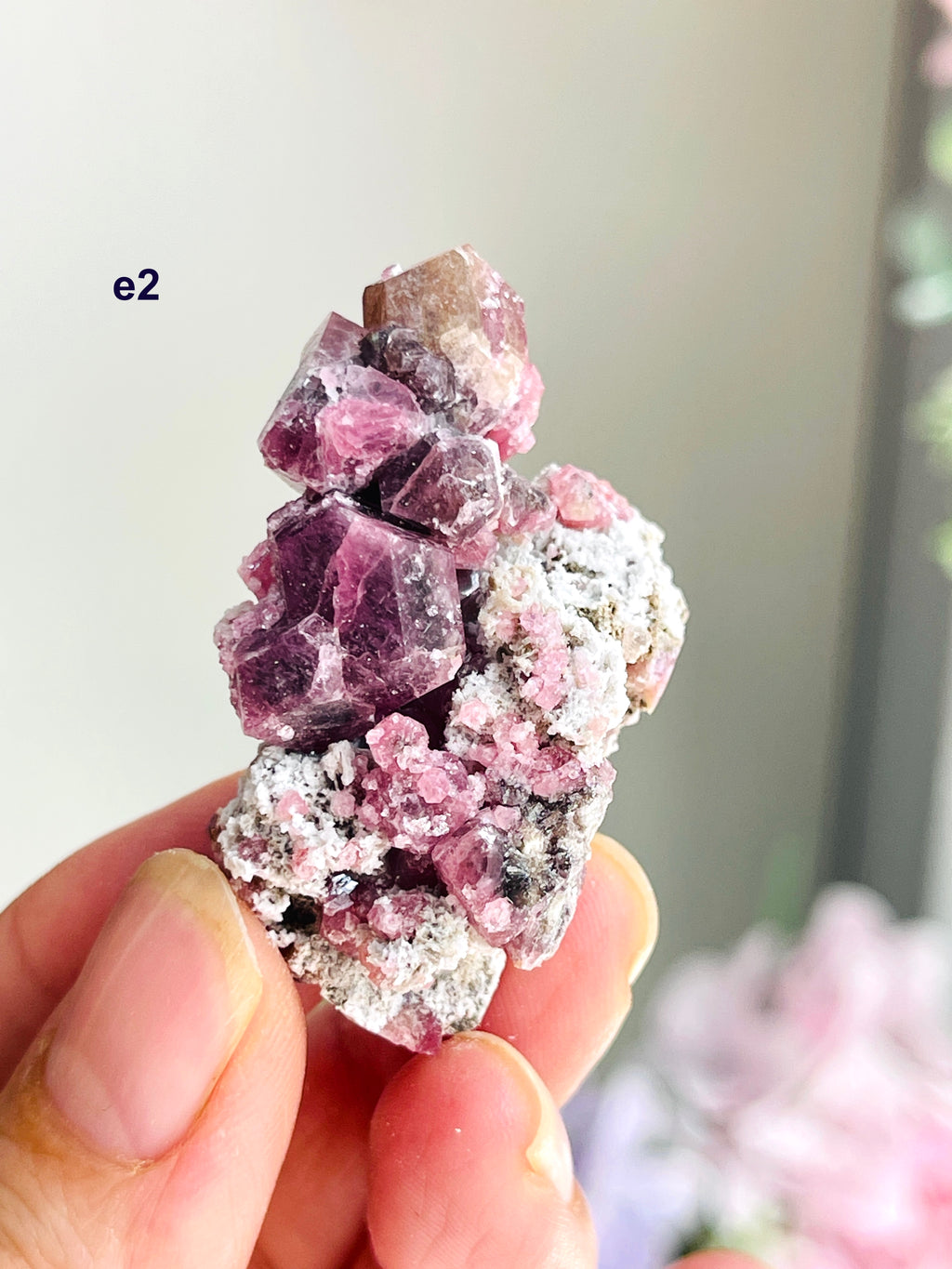 Raspberry Pink Grossular Garnet Specimen – Sierra de las Cruces, Coahuila, Mexico | Choose Your Piece