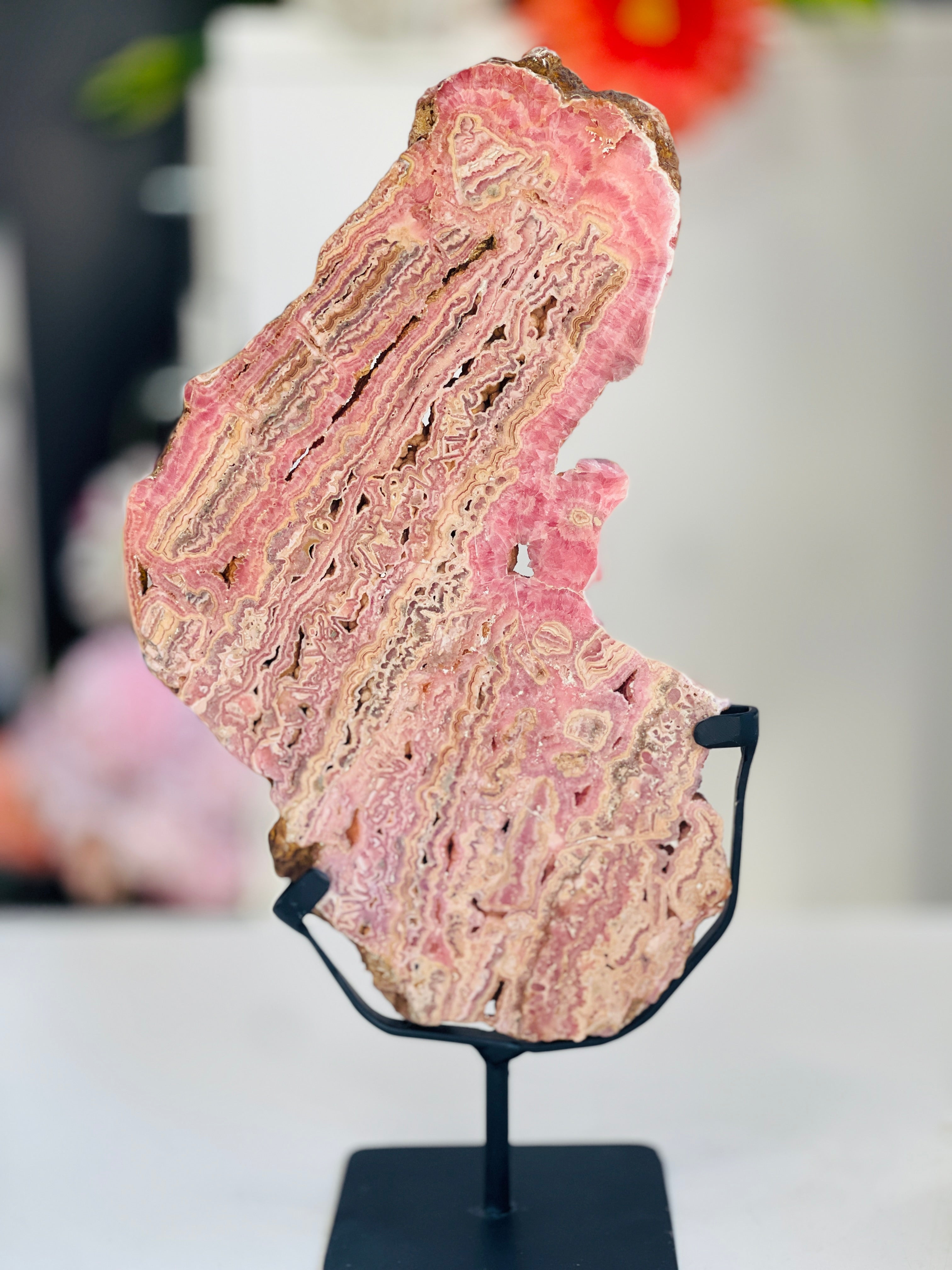Rhodochrosite Slab – Capillitas Argentina | 1.416kg Polished Collector Specimen