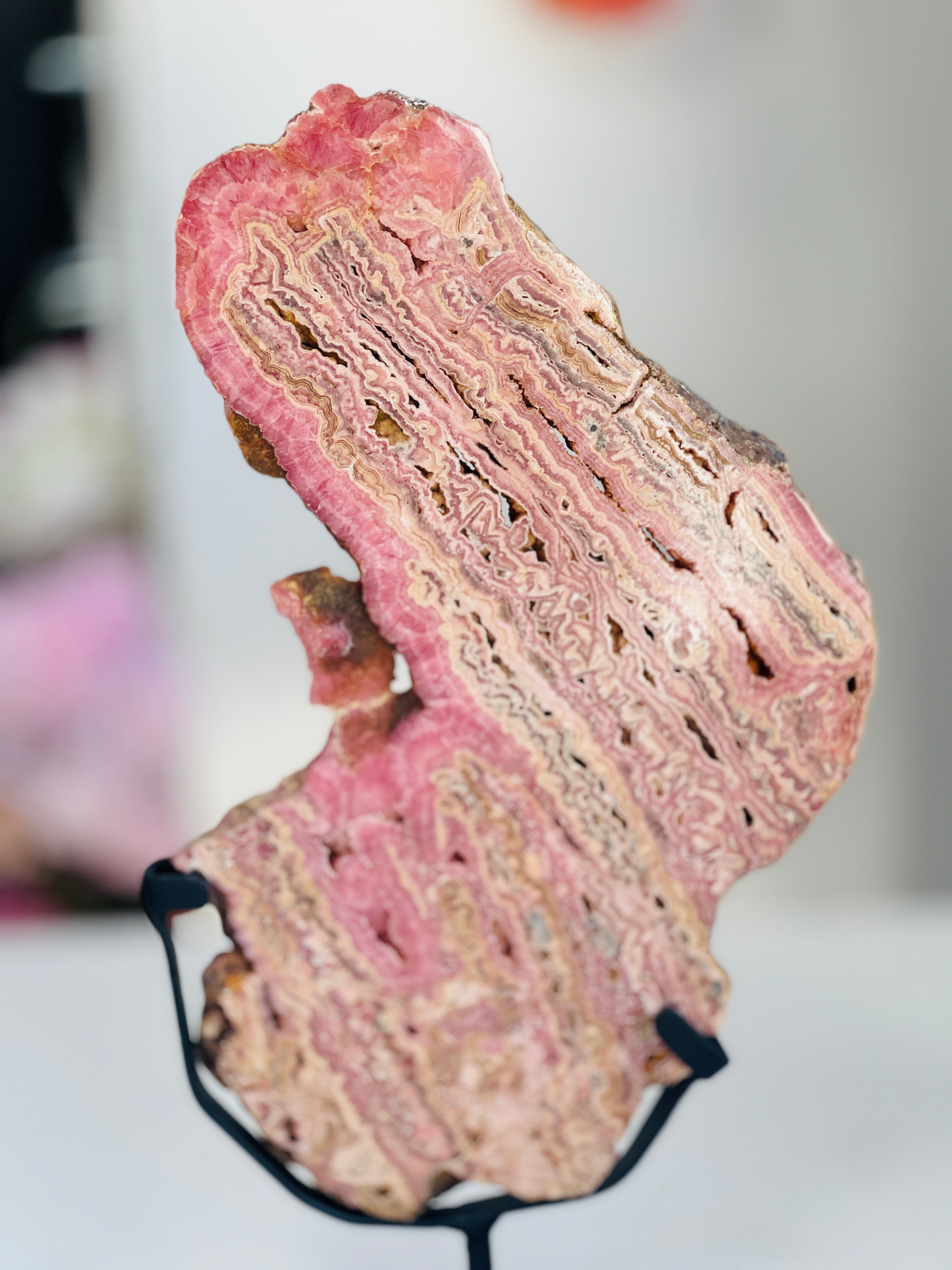 Rhodochrosite Slab – Capillitas Argentina | 1.416kg Polished Collector Specimen