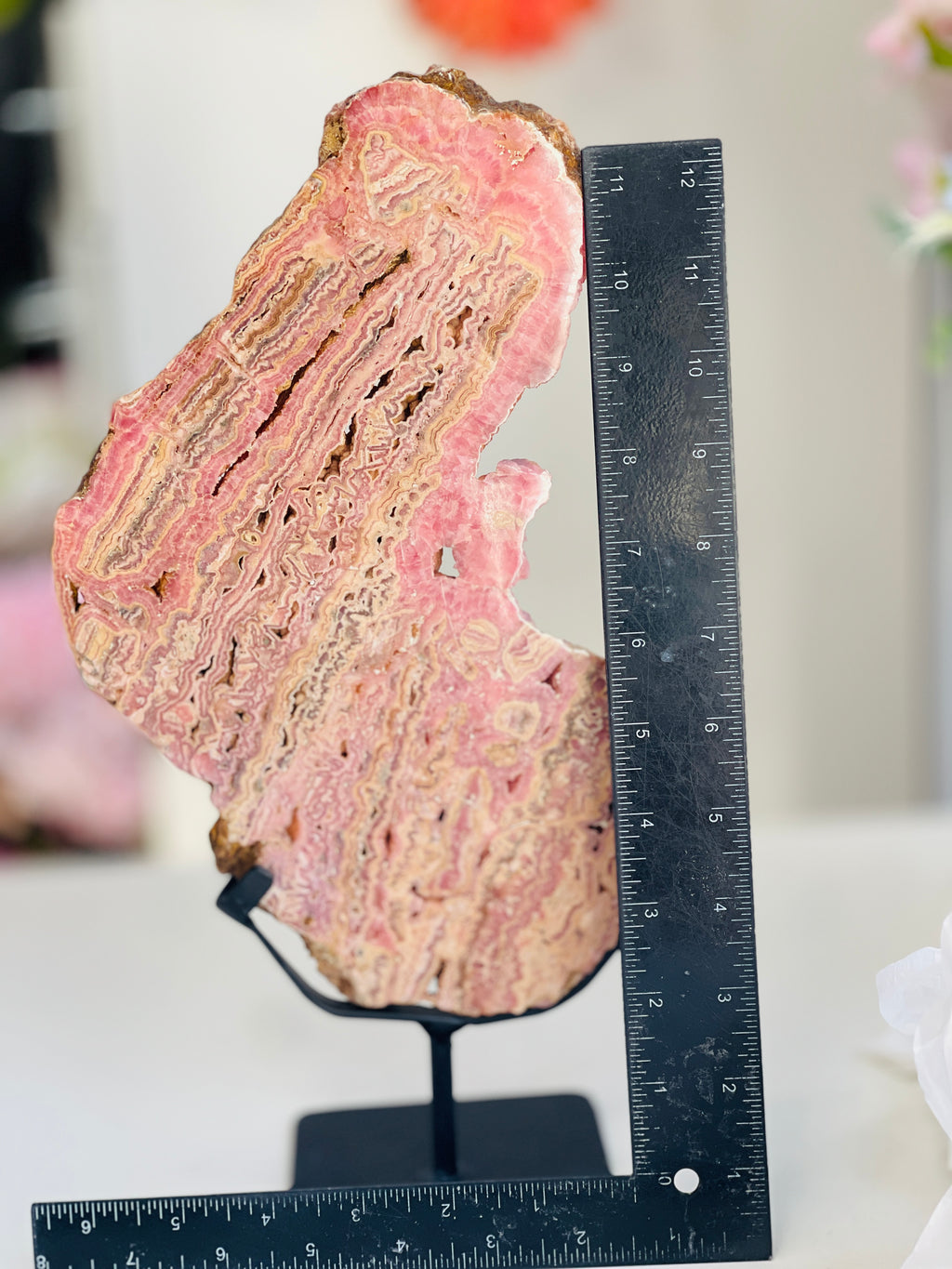 Rhodochrosite Slab – Capillitas Argentina | 1.416kg Polished Collector Specimen