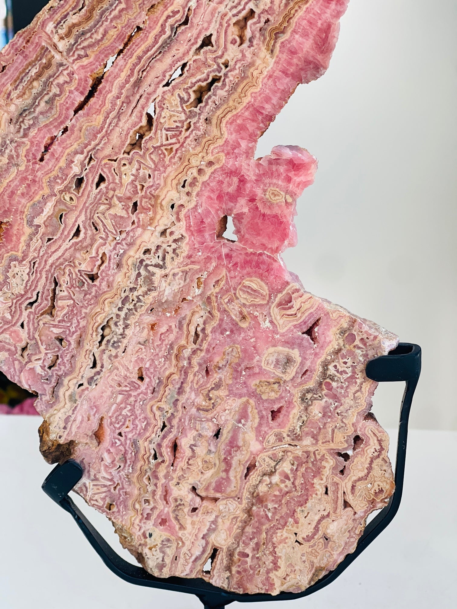 Rhodochrosite Slab – Capillitas Argentina | 1.416kg Polished Collector Specimen