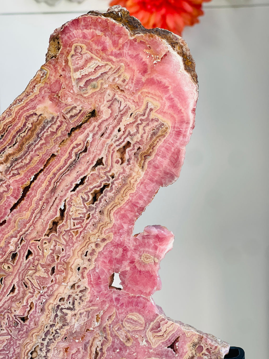 Rhodochrosite Slab – Capillitas Argentina | 1.416kg Polished Collector Specimen