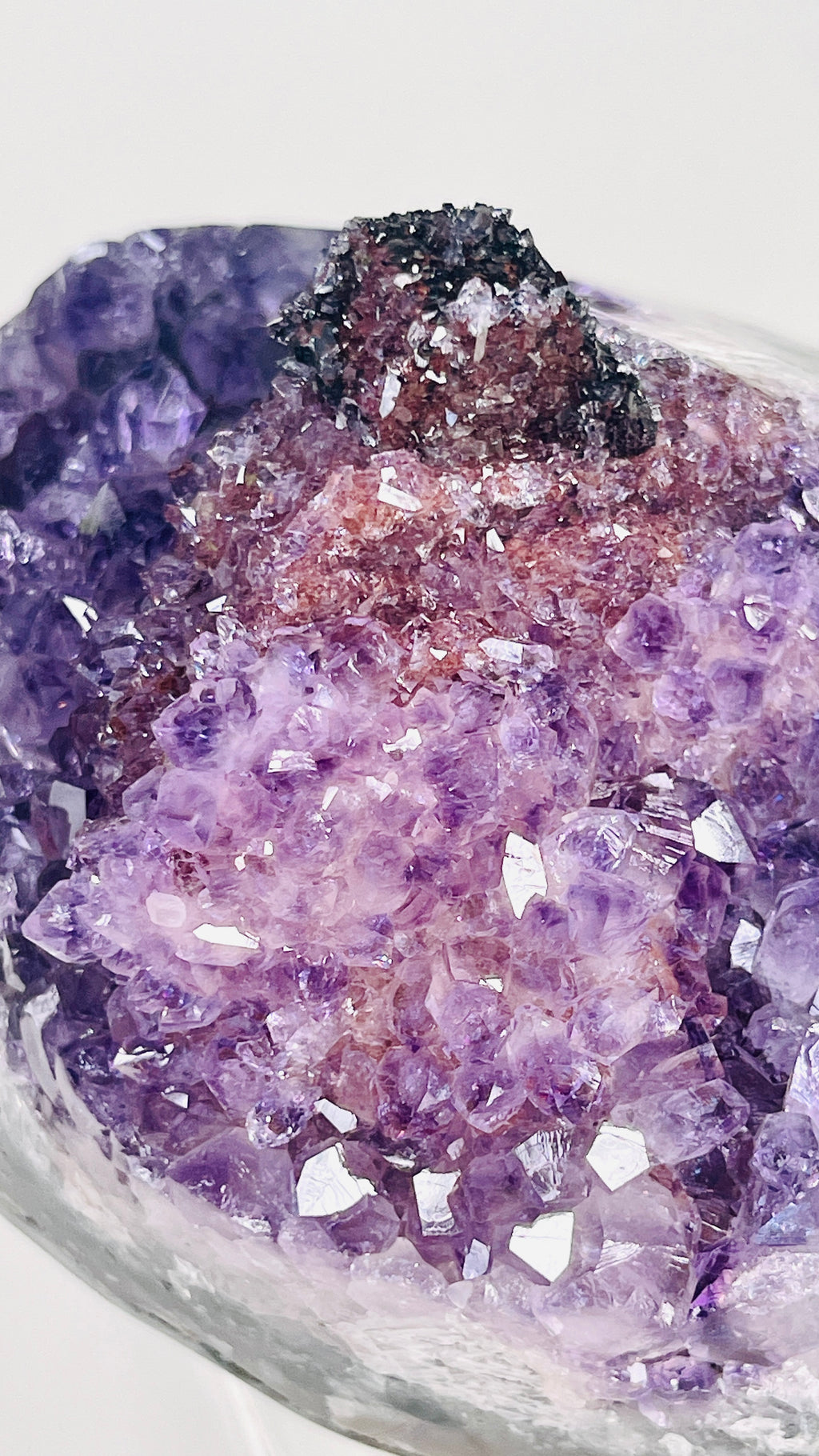 Uruguay Amethyst Flower Specimen with Hematite & Calcite
