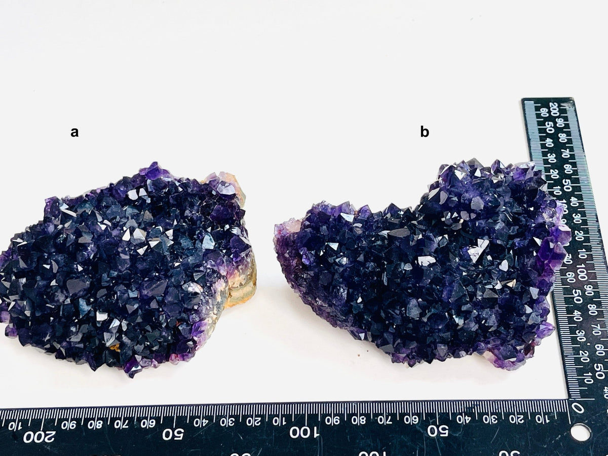 AAAAA+ Quality Uruguay Amethyst Rosette, Grape Jelly Amethyst Pine, Deep Purple Amethyst - Million Years Crystal