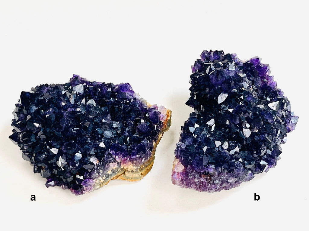 AAAAA+ Quality Uruguay Amethyst Rosette, Grape Jelly Amethyst Pine, Deep Purple Amethyst - Million Years Crystal