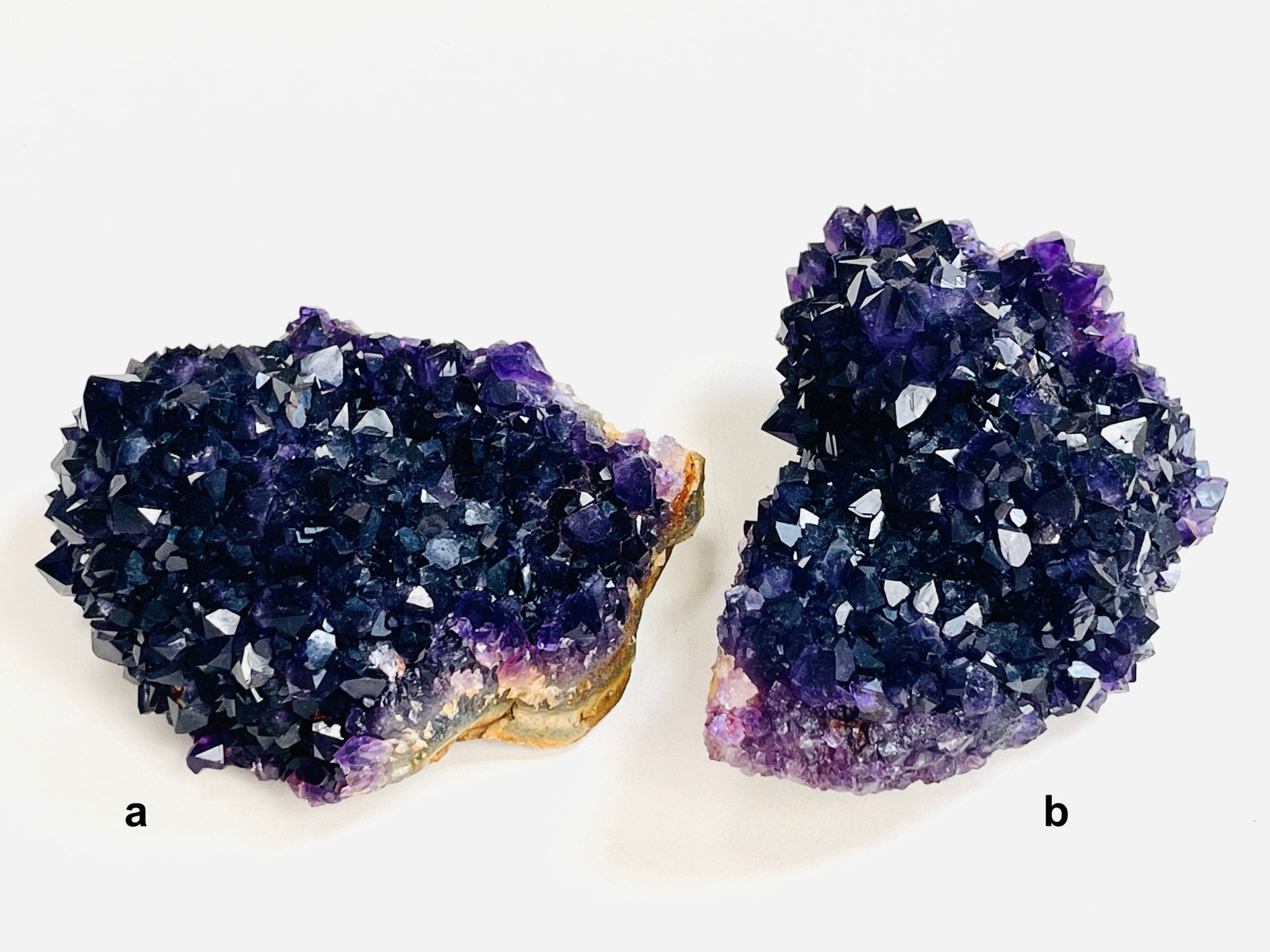 AAAAA+ Quality Uruguay Amethyst Rosette, Grape Jelly Amethyst Pine, Deep Purple Amethyst - Million Years Crystal