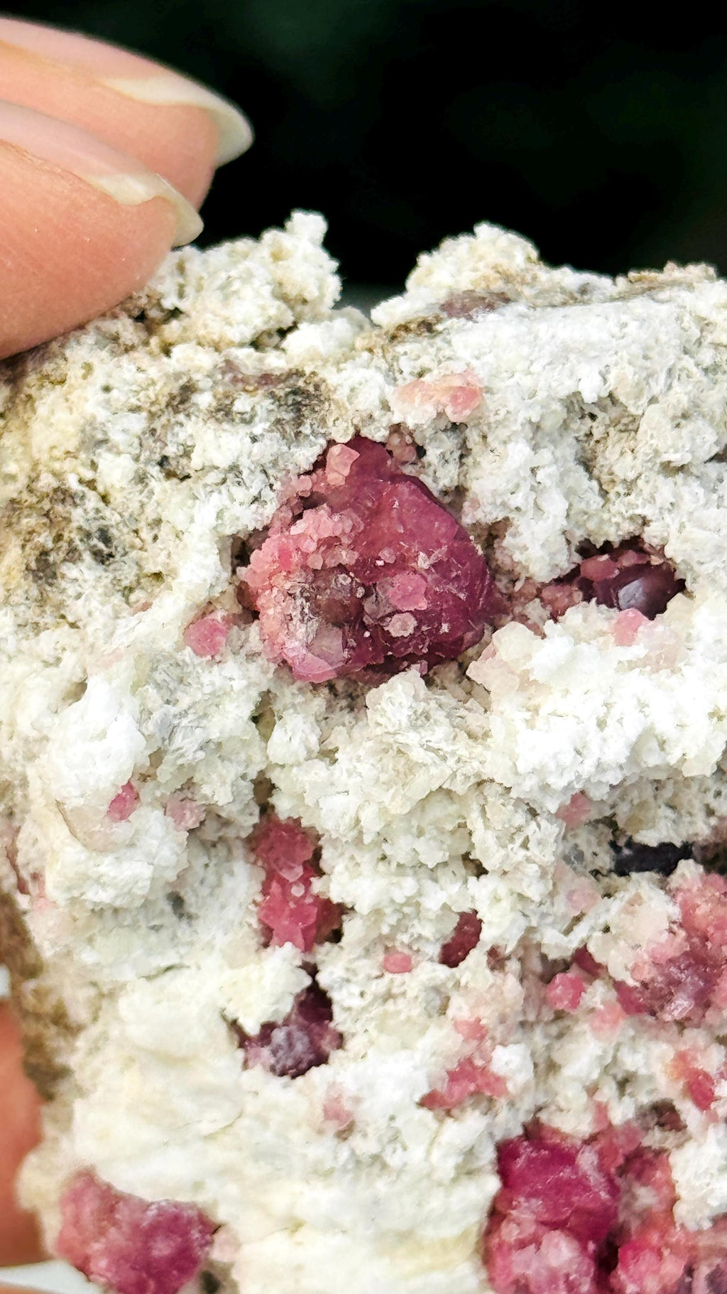 New Find !! Grossular Garnet, Rare Raspberry Pink Garnet Mineral Specimen ~ Coahuila, Mexico -6