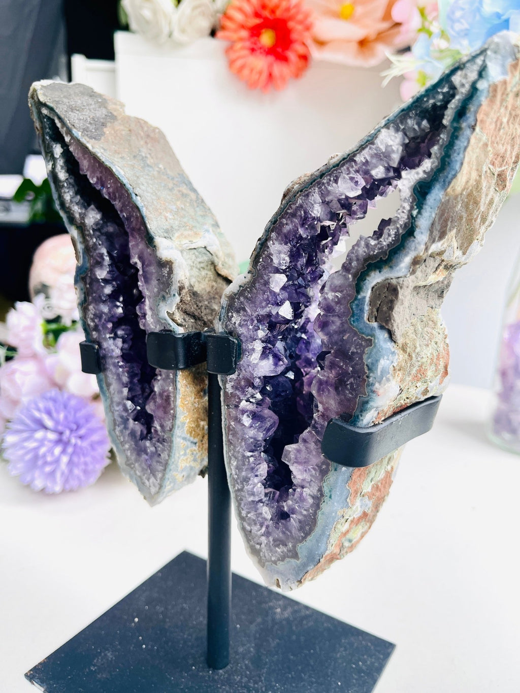 Amethyst Geode Wings on Custom Stand 2 - Million Years Crystal