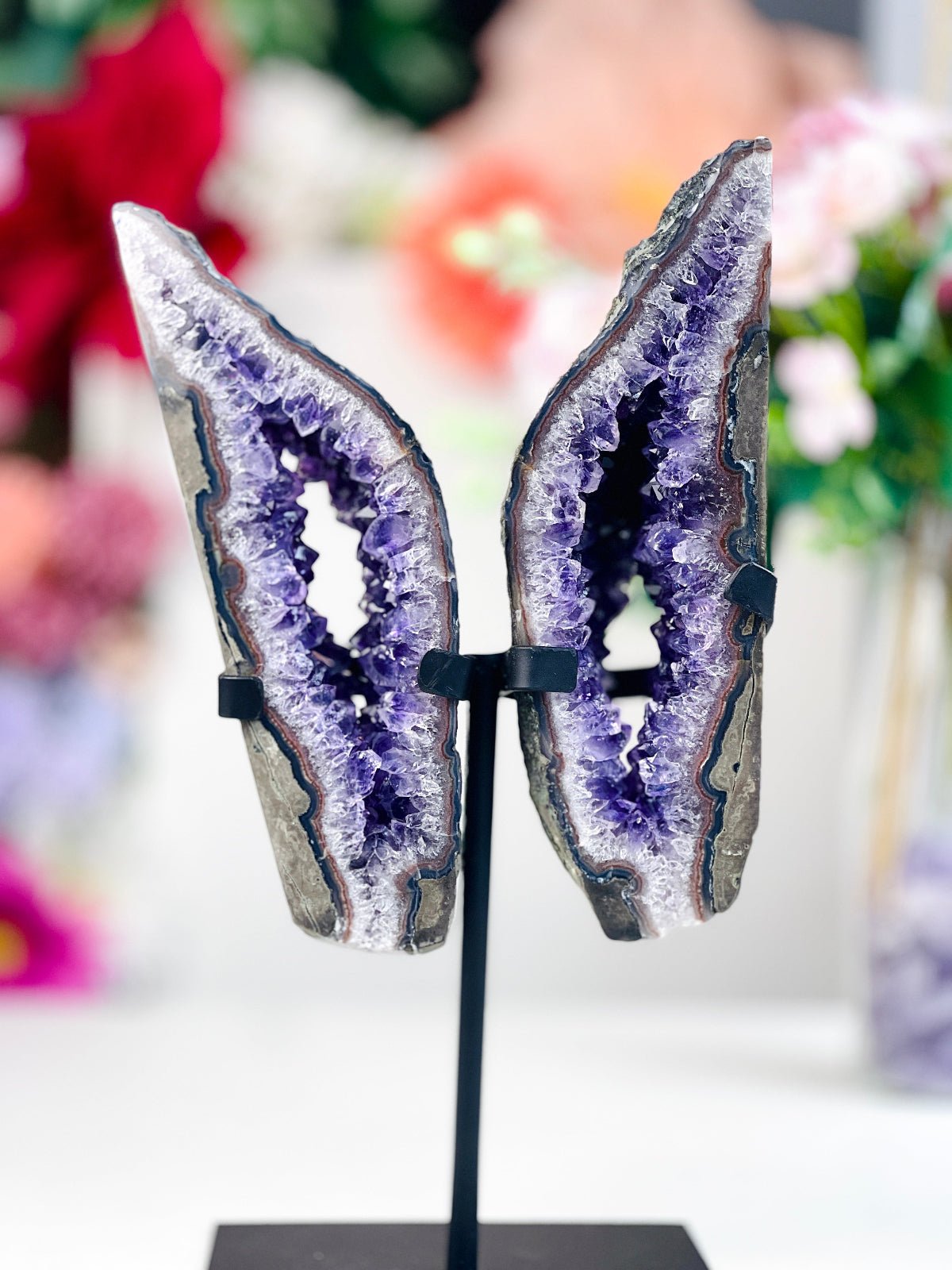 Amethyst Geode Wings on Custom Stand - Million Years Crystal
