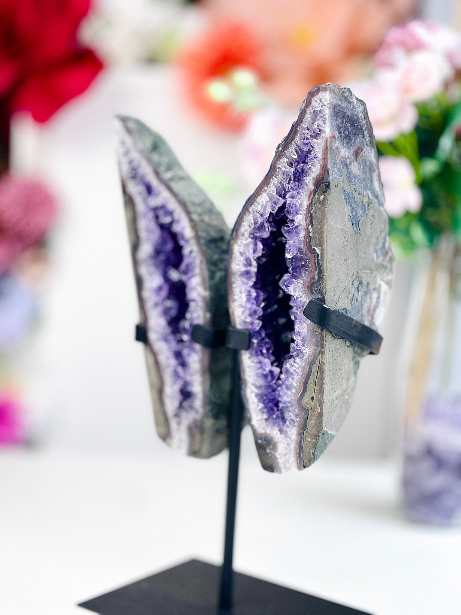 Amethyst Geode Wings on Custom Stand - Million Years Crystal
