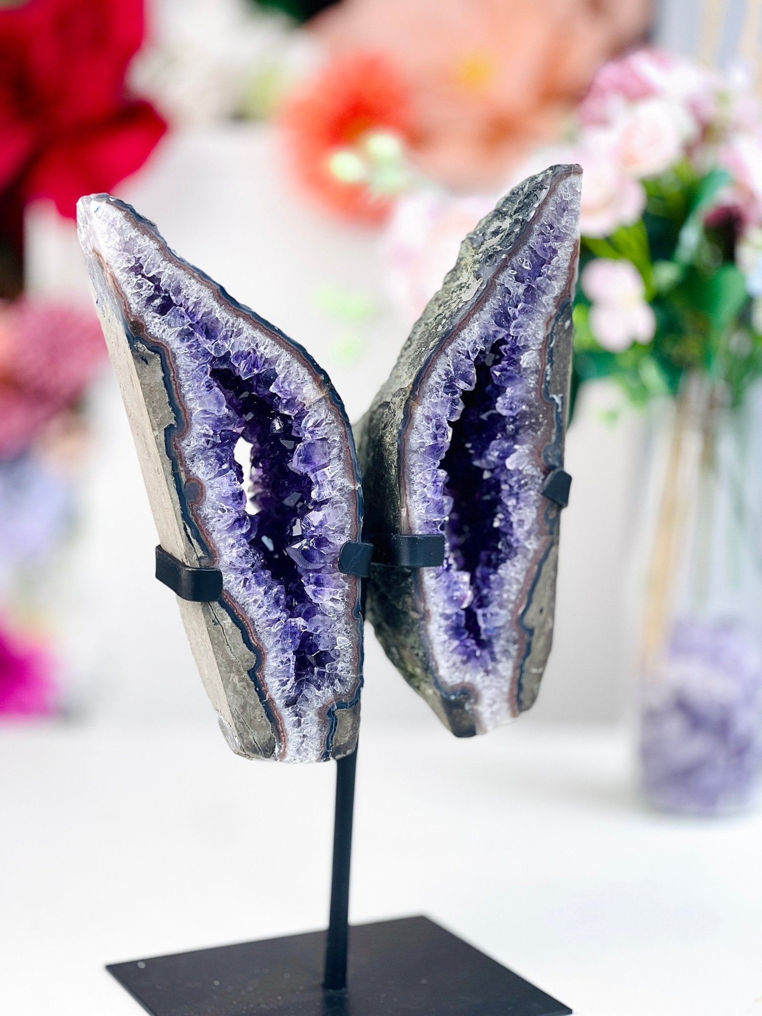 Amethyst Geode Wings on Custom Stand - Million Years Crystal