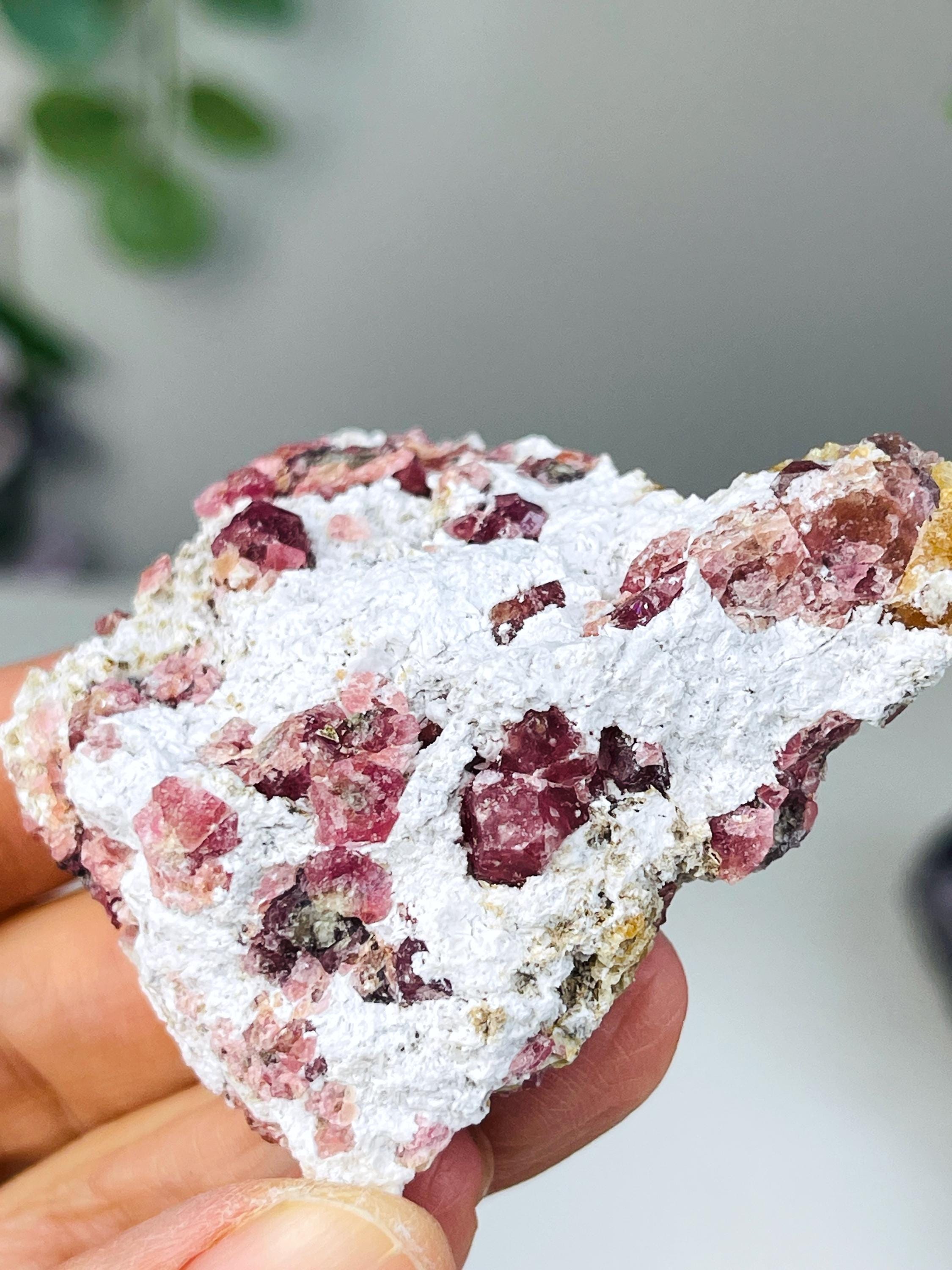 New Find !! Grossular Garnet, Rare Raspberry Pink Garnet Mineral Specimen ~ Coahuila, Mexico - 9