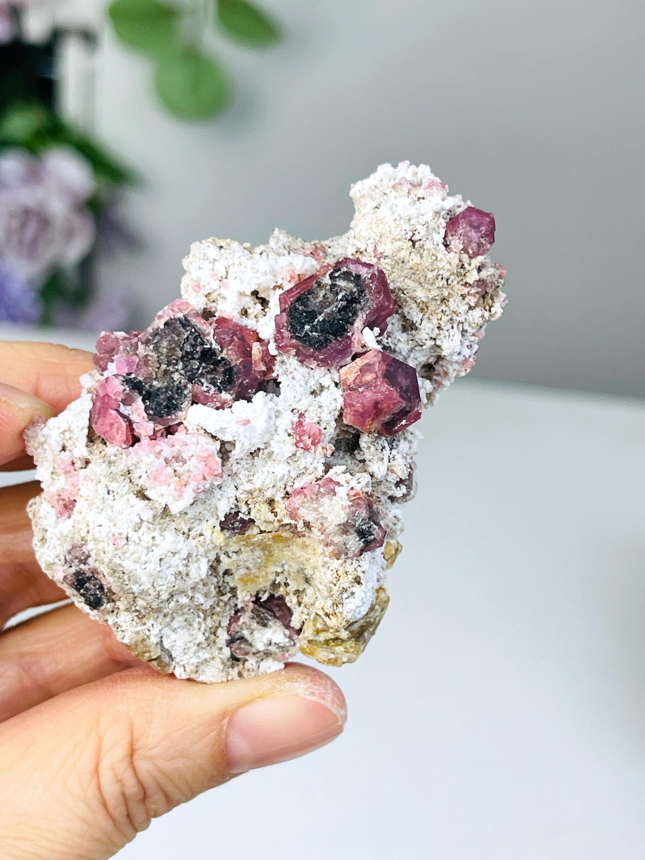 New Find !! Grossular Garnet, Rare Raspberry Pink Garnet Mineral Specimen ~ Coahuila, Mexico - 8