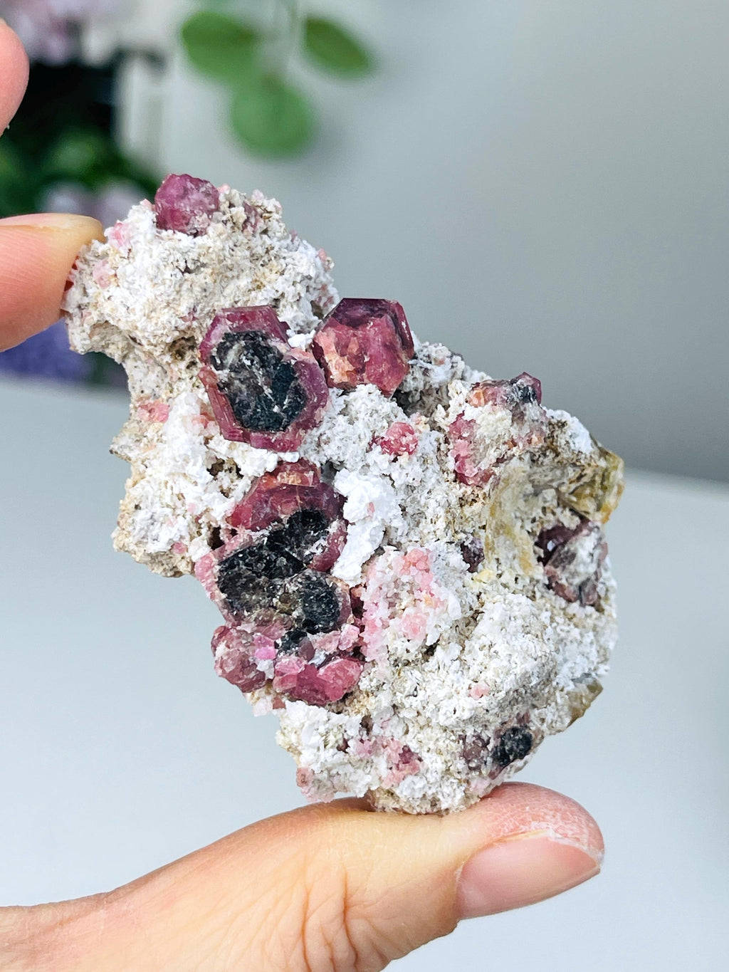New Find !! Grossular Garnet, Rare Raspberry Pink Garnet Mineral Specimen ~ Coahuila, Mexico - 8