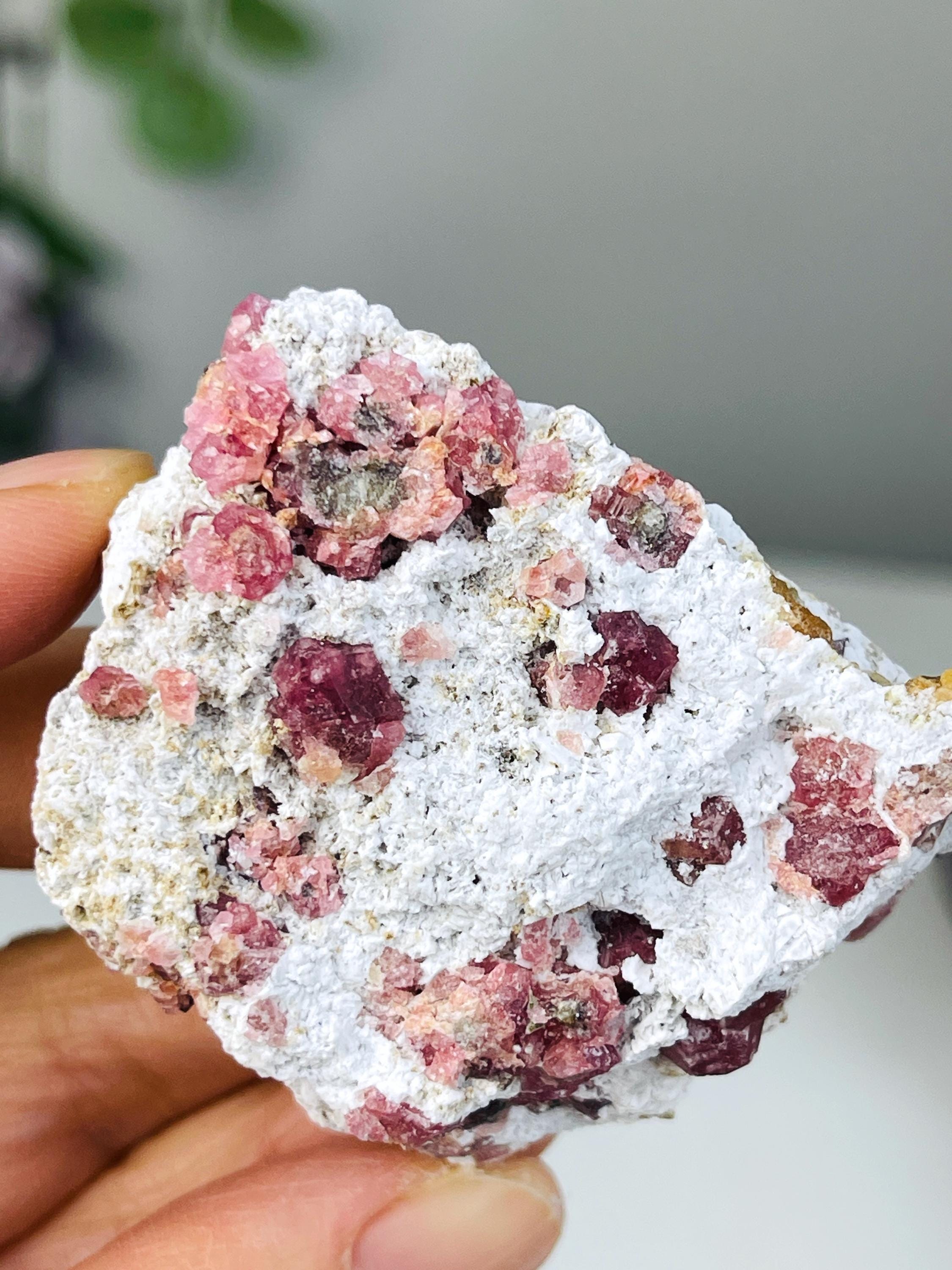 New Find !! Grossular Garnet, Rare Raspberry Pink Garnet Mineral Specimen ~ Coahuila, Mexico - 9