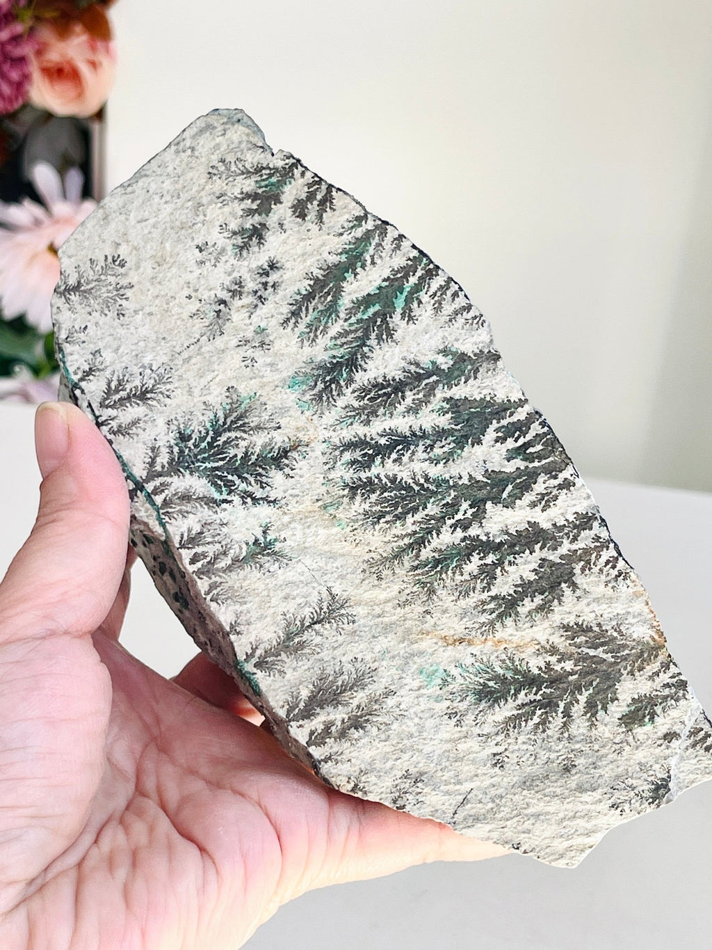 Dendritic Chrysocolla Specimen | Large Sparkling Druzy | DR Congo - Million Years Crystal