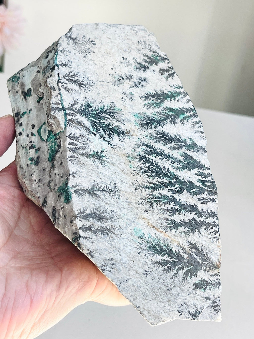 Dendritic Chrysocolla Specimen | Large Sparkling Druzy | DR Congo - Million Years Crystal