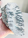 Dendritic Chrysocolla Specimen | Large Sparkling Druzy | DR Congo - Million Years Crystal