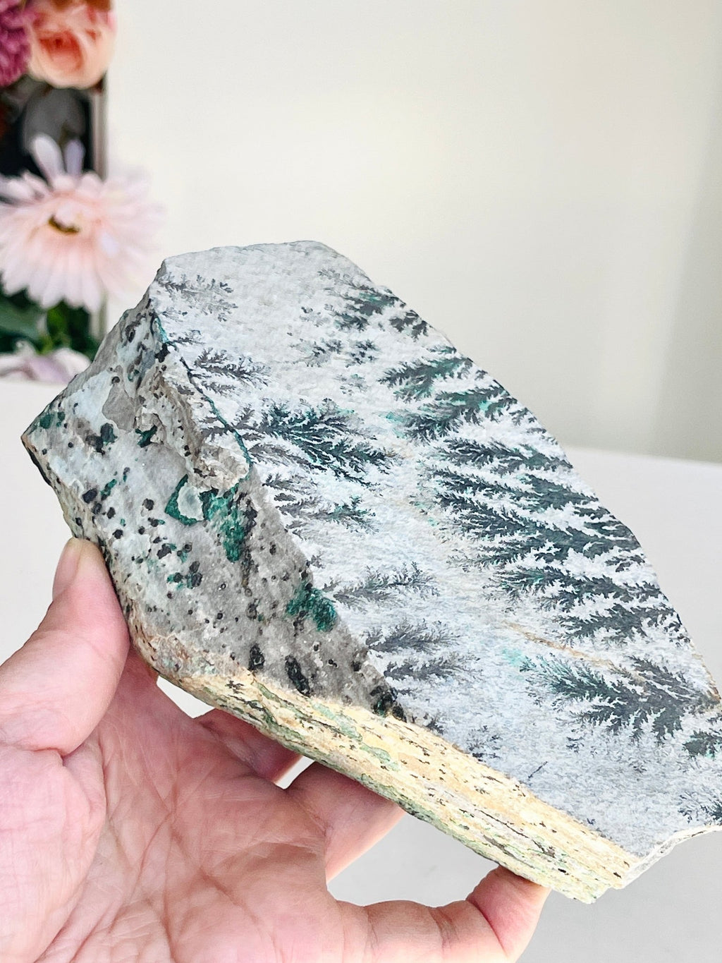 Dendritic Chrysocolla Specimen | Large Sparkling Druzy | DR Congo - Million Years Crystal