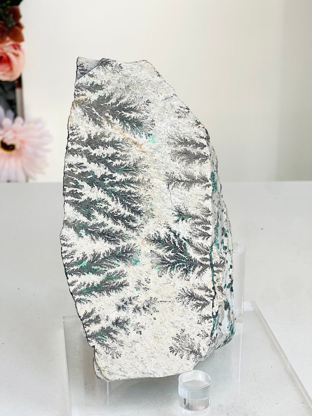 Dendritic Chrysocolla Specimen | Large Sparkling Druzy | DR Congo - Million Years Crystal