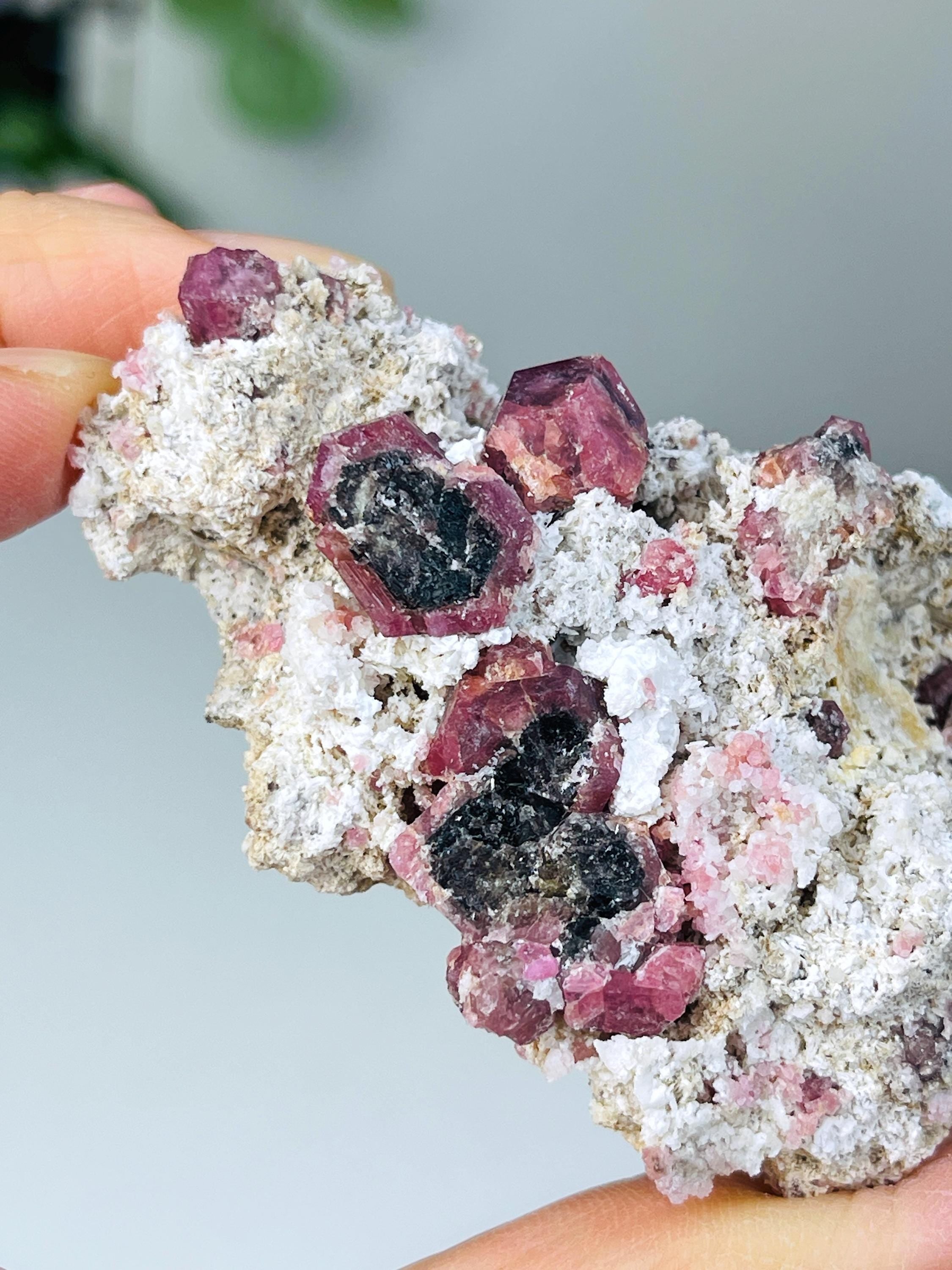 New Find !! Grossular Garnet, Rare Raspberry Pink Garnet Mineral Specimen ~ Coahuila, Mexico - 8