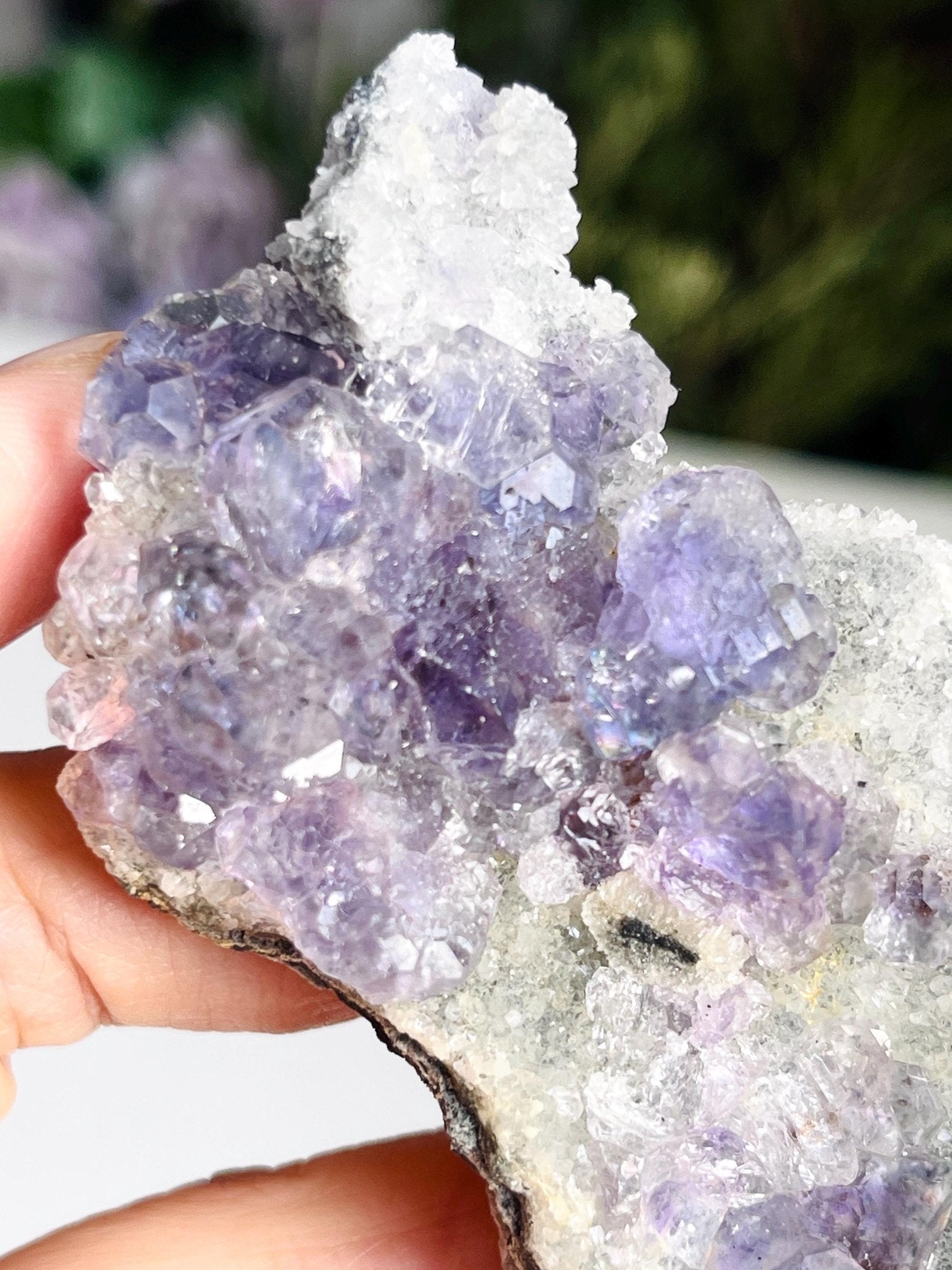 Fluorite with Quartz Specimen, Gorgeous Fujian Fluorite with Quartz - Million Years Crystal