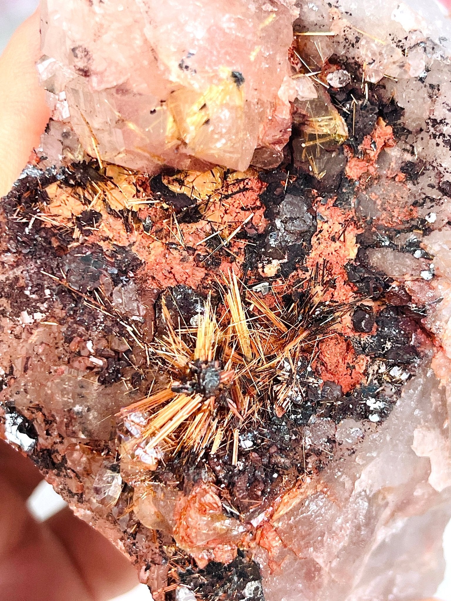Golden Rutile with Hematite on Quartz - Million Years Crystal