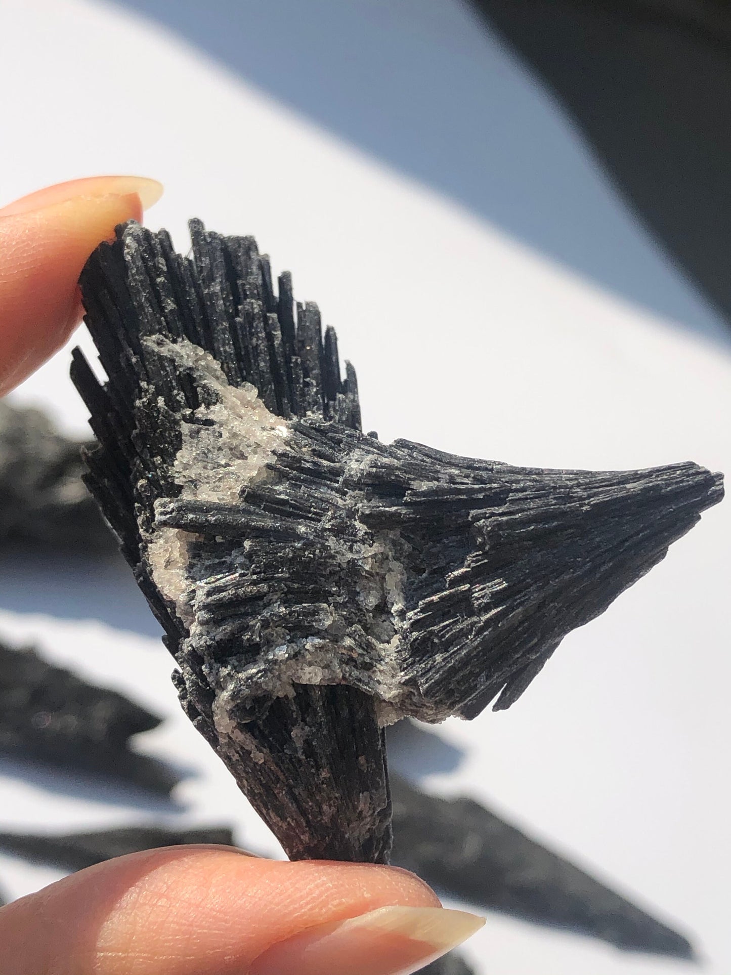 Black Kyanite Specimen