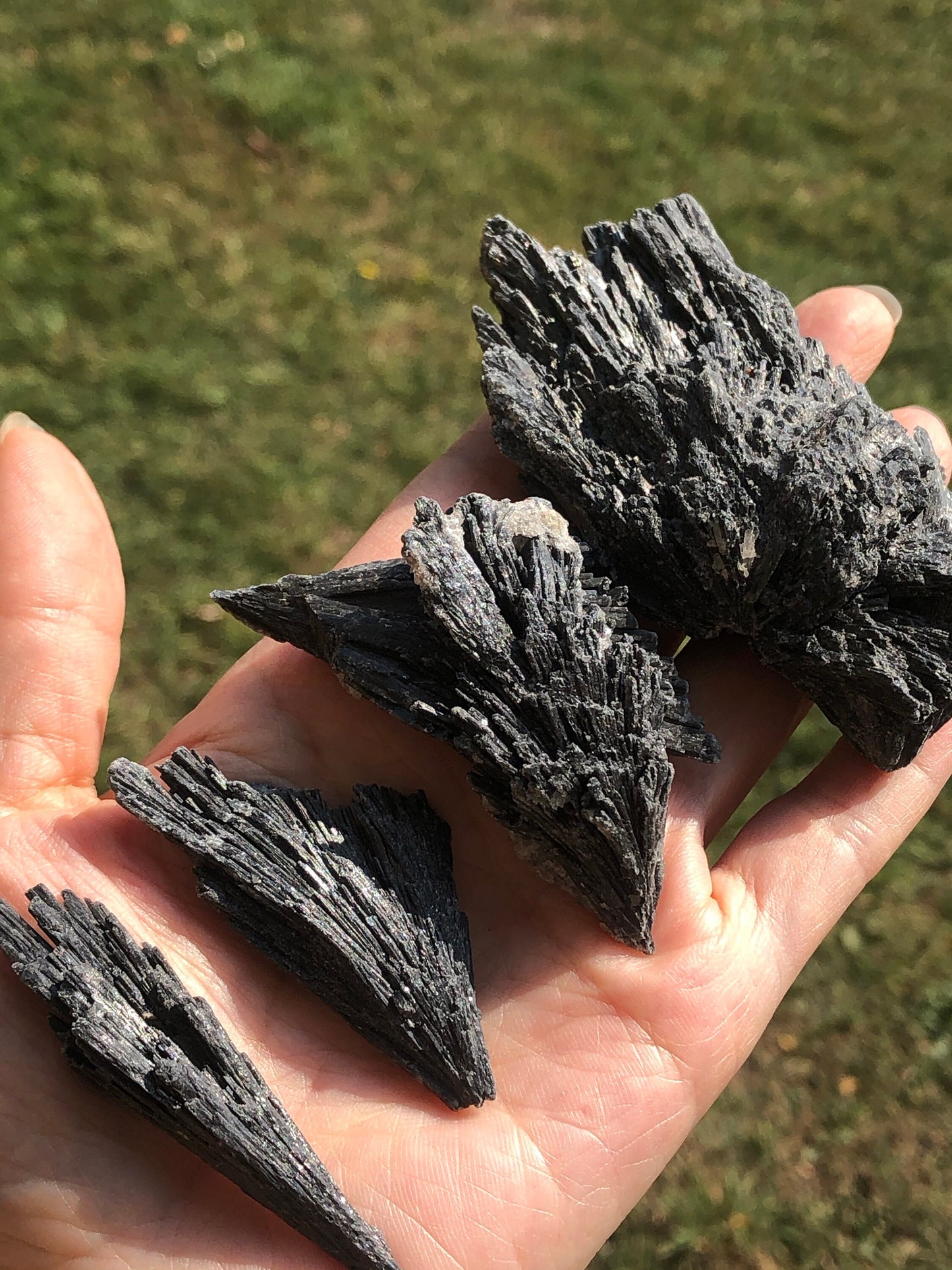 Black Kyanite Specimen