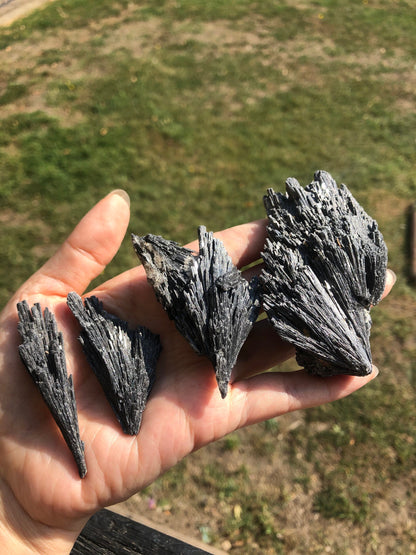 Black Kyanite Specimen