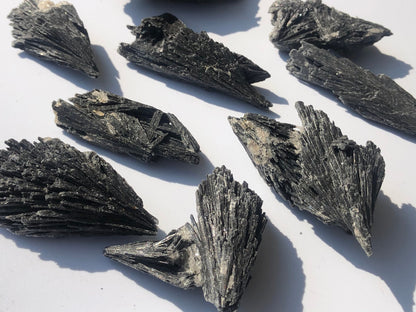 Black Kyanite Specimen