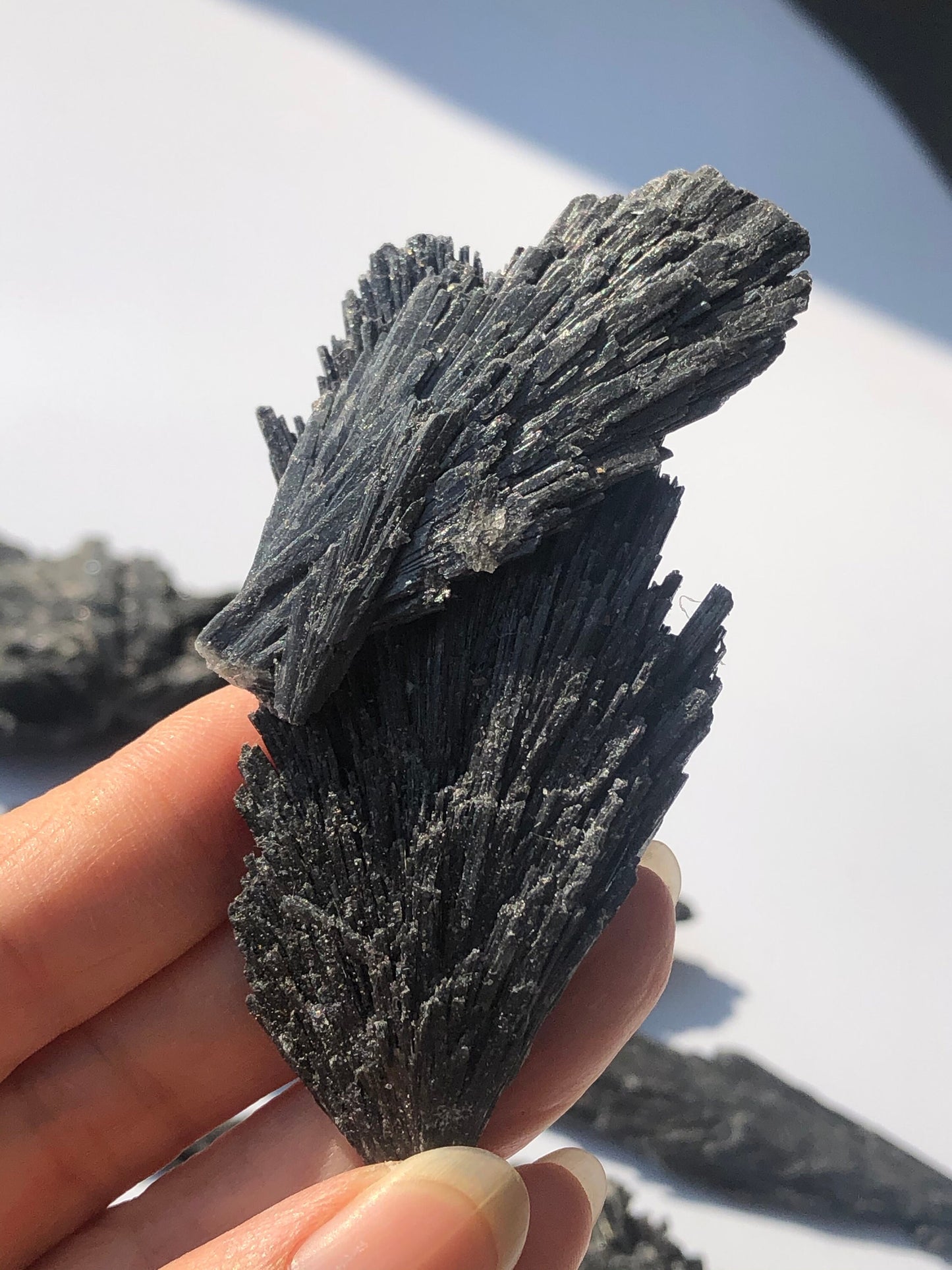 Black Kyanite Specimen