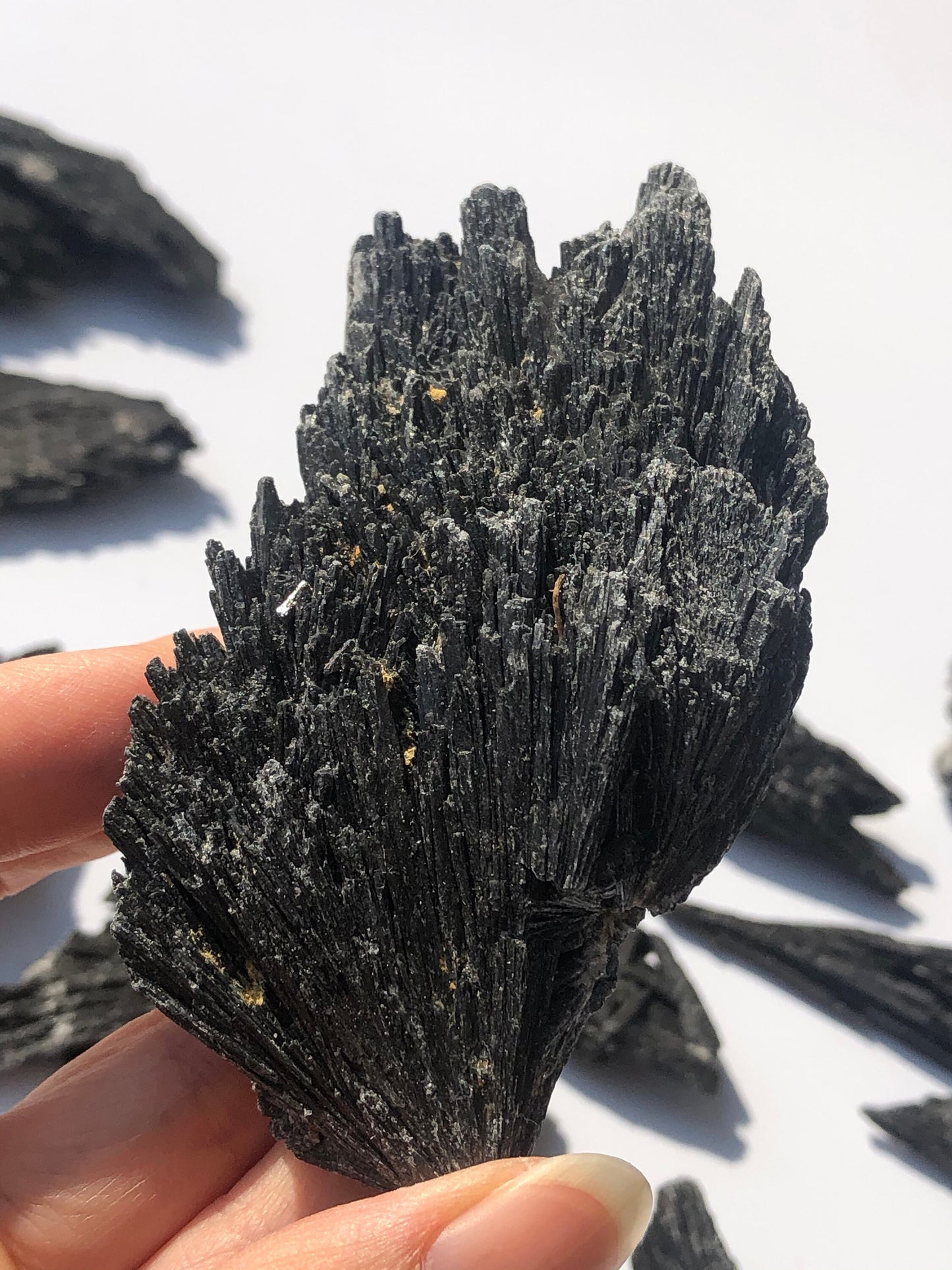 Black Kyanite Specimen