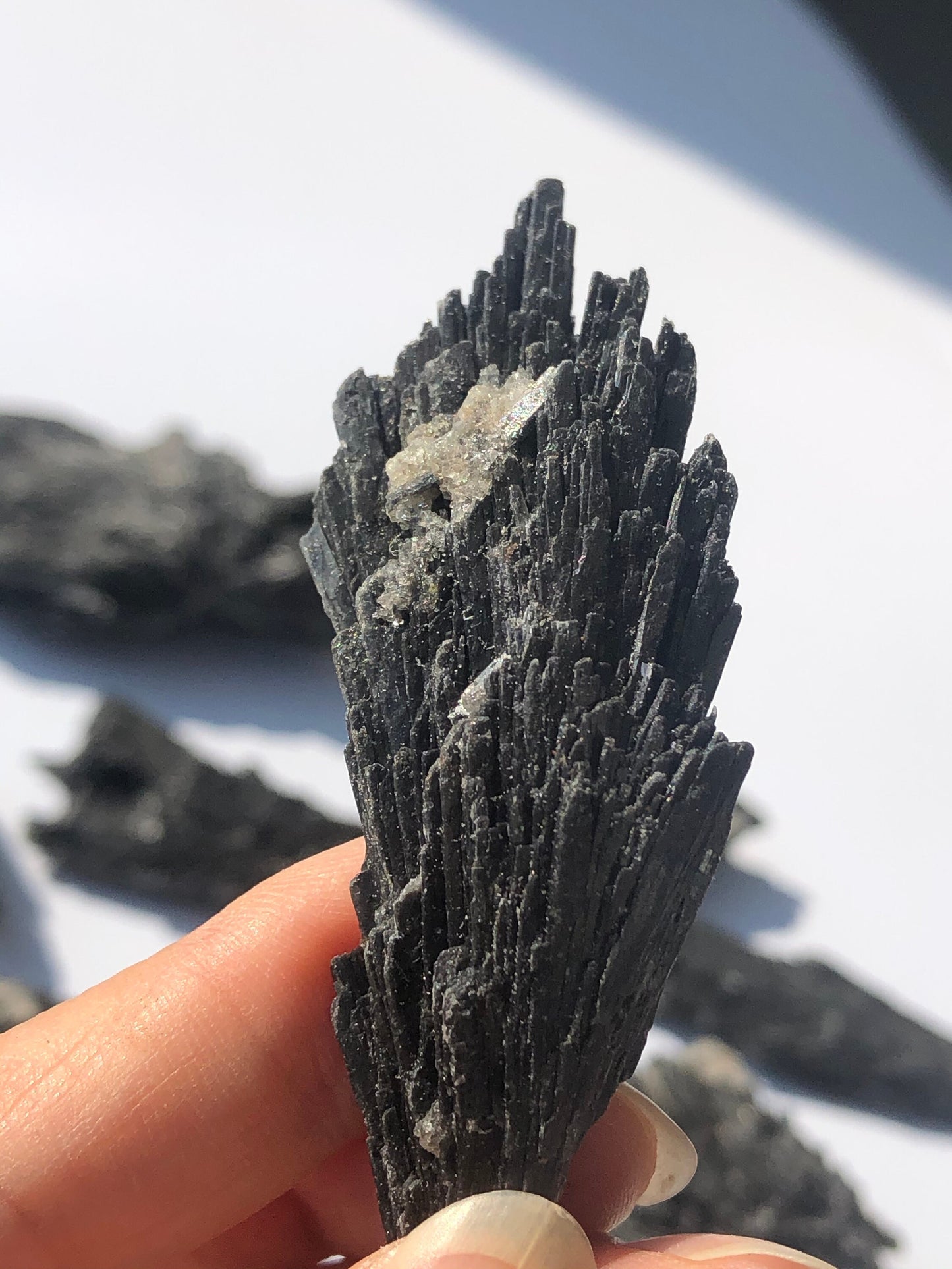 Black Kyanite Specimen